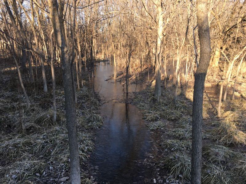 A serene scene depicting a quiet stream winding through a forest during late afternoon. The area is surrounded by bare trees with sparse foliage, and the ground is covered with dry grass and fallen leaves. Sunlight filters through the branches, casting soft shadows on the water. ESU Trail mountain bike trail.