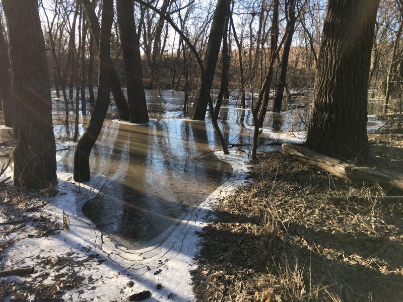 A tranquil forest scene with bare trees reflecting in shallow floodwaters. The ground is partially covered with ice, and the sunlight filters through the branches, casting gentle shadows on the water's surface. ESU Trail mountain bike trail.