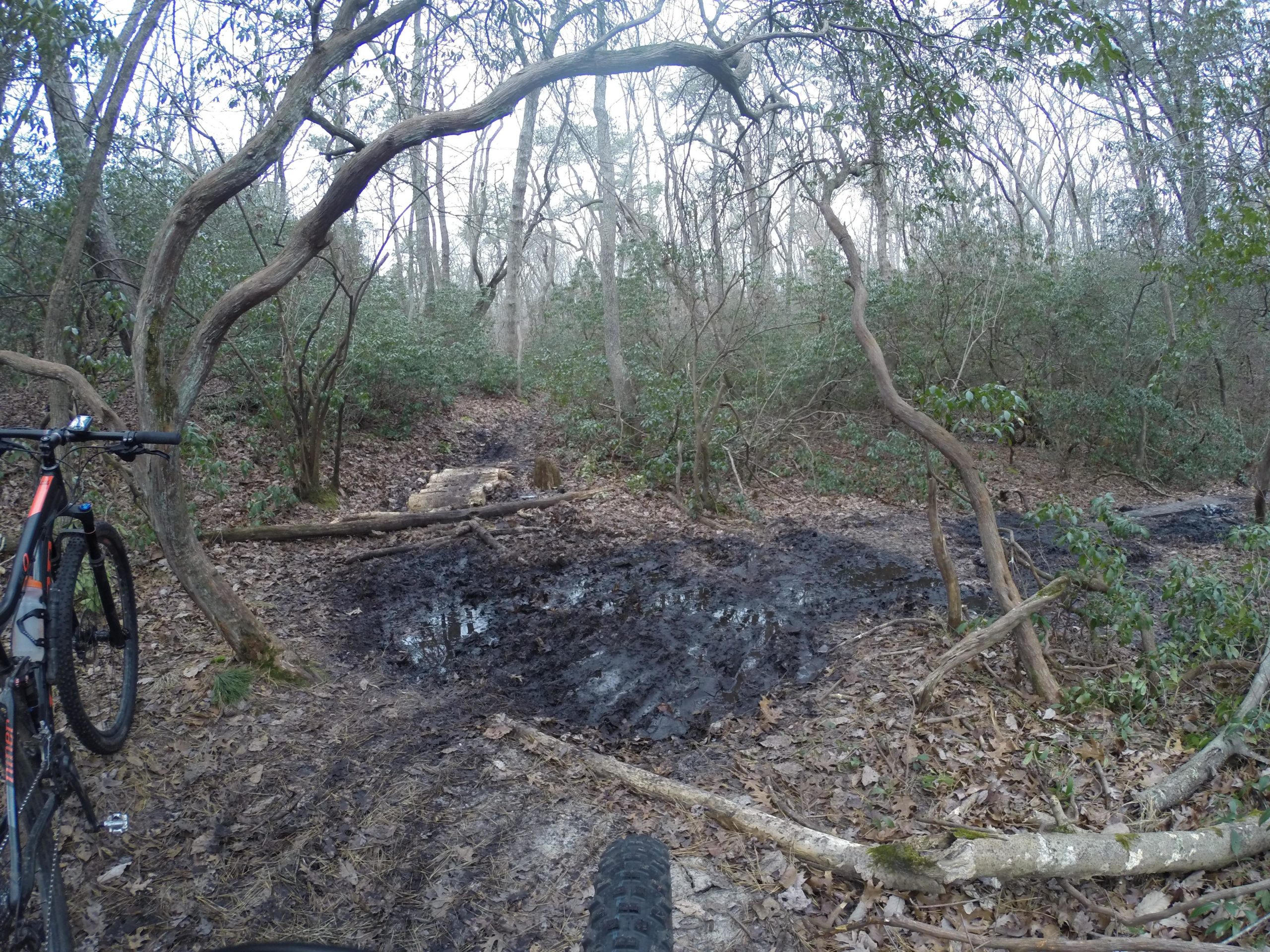 A mountain bike rests next to a muddy trail in a wooded area. The path is surrounded by trees and underbrush, with a fallen log crossing over a small puddle. Leaf litter covers the ground, and the setting appears to be a remote, natural environment. Allaire State Park mountain bike trail.