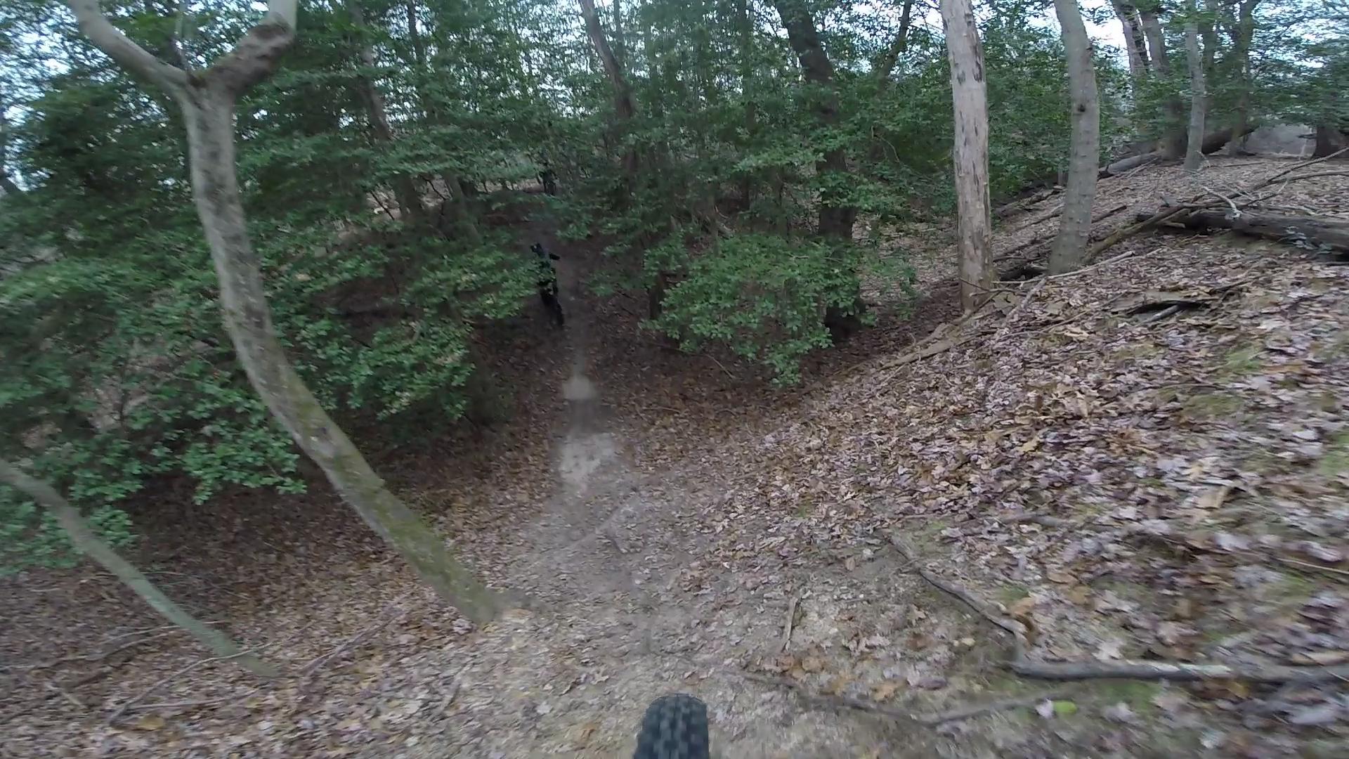 A view from a mountain bike rider's perspective looking down a wooded trail, surrounded by trees and foliage. The ground is covered in leaves, and a narrow dirt path winds through the greenery, suggesting a downhill section of the trail. Allaire State Park mountain bike trail.
