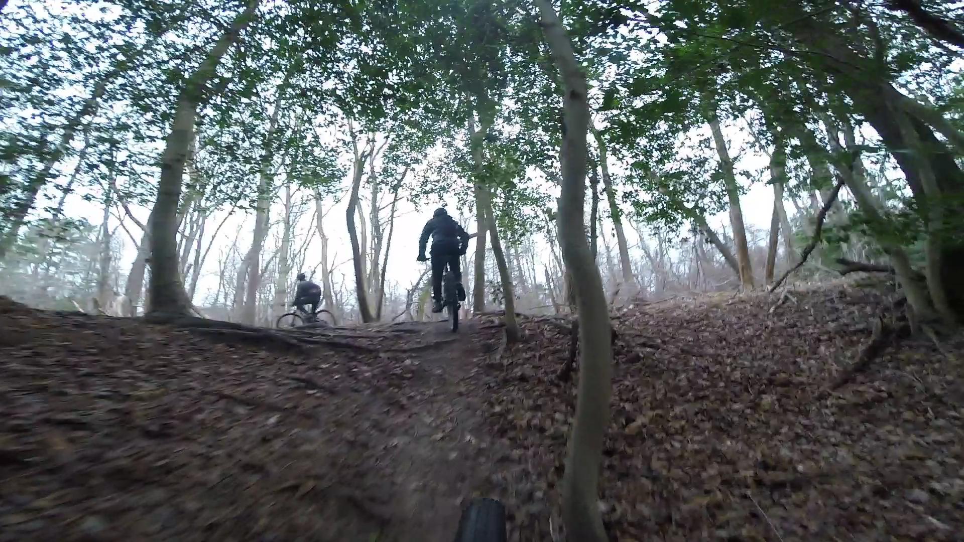 Two mountain bikers navigate a trail through a wooded area. The foreground shows a path covered in fallen leaves and dirt, with trees on either side. The background features a misty, forested landscape, creating a serene yet active outdoor environment. Allaire State Park mountain bike trail.