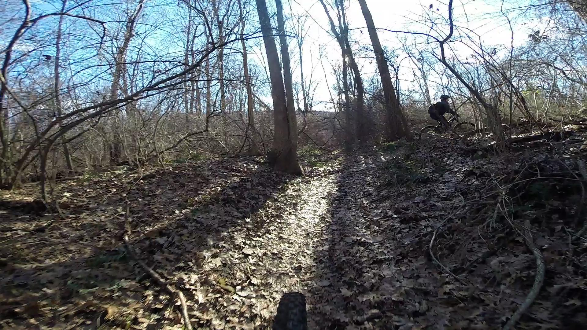A mountain biker navigating a leaf-covered trail through a forest, with trees in the background and a blue sky above. Sunlight filters through the branches, creating a play of light and shadows on the ground. Allamuchy North-Deer Park-Stephens Connecter Ride mountain bike trail.