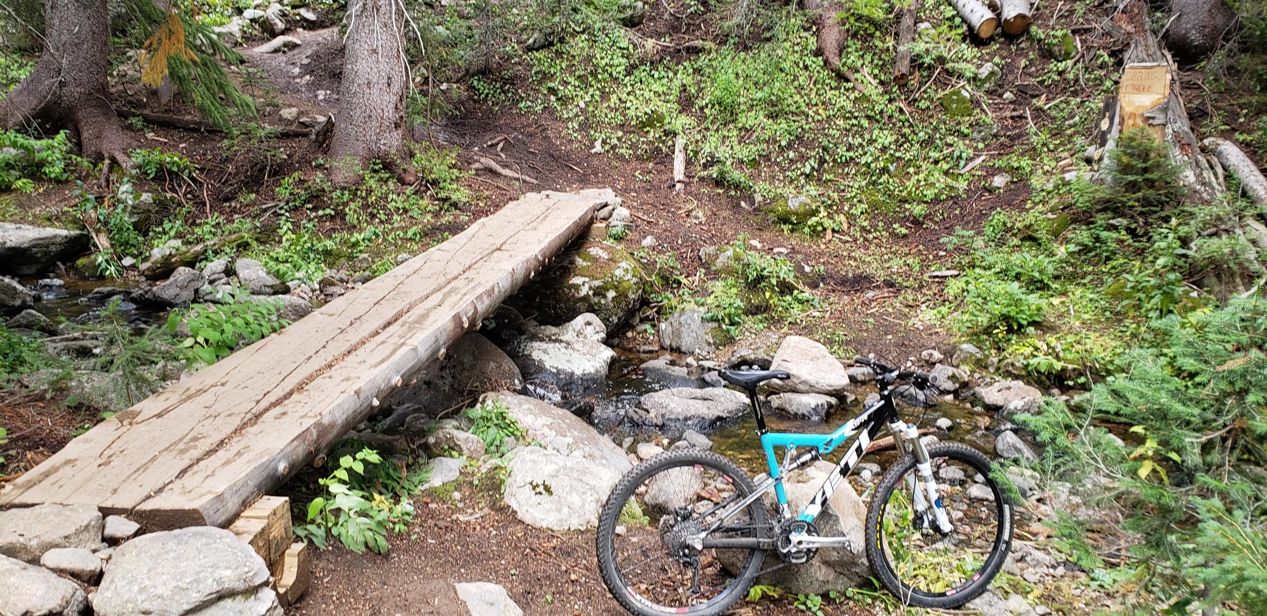 A mountain bike rests next to a wooden bridge crossing a small stream in a lush, green forest. The scene features rocky terrain, various plants, and a dirt path leading further into the woods. Flash of Gold mountain bike trail.