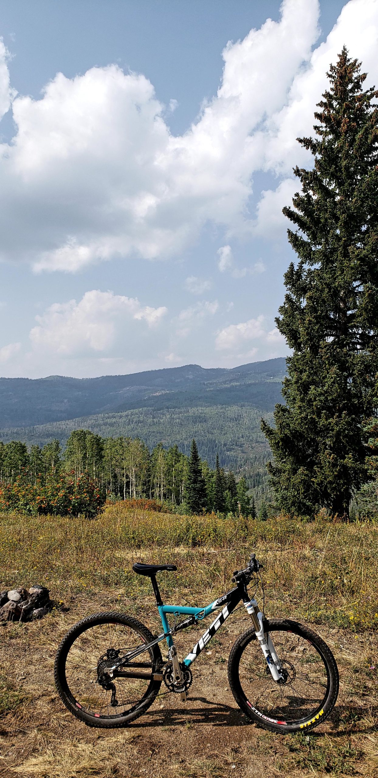 A mountain bike stands on a grassy hilltop with a scenic view of rolling mountains and trees in the background. The sky is partly cloudy, showcasing a mix of blue and white clouds. Flash of Gold mountain bike trail.
