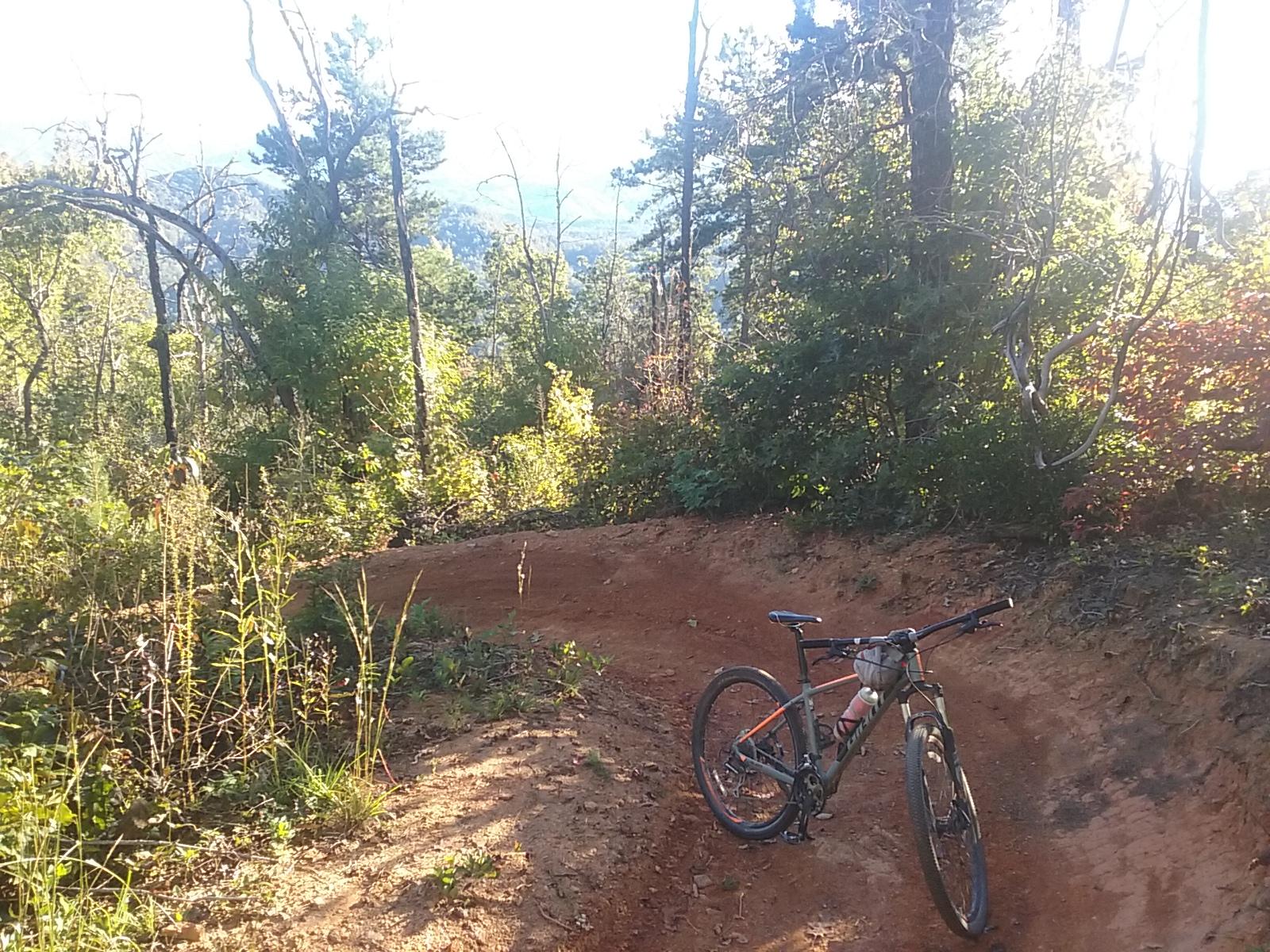 A mountain bike resting on a dirt trail surrounded by vibrant greenery and trees. The scene captures a sunny day in a natural outdoor setting, with distant mountains visible in the background. Fire Mountain Trail System mountain bike trail.