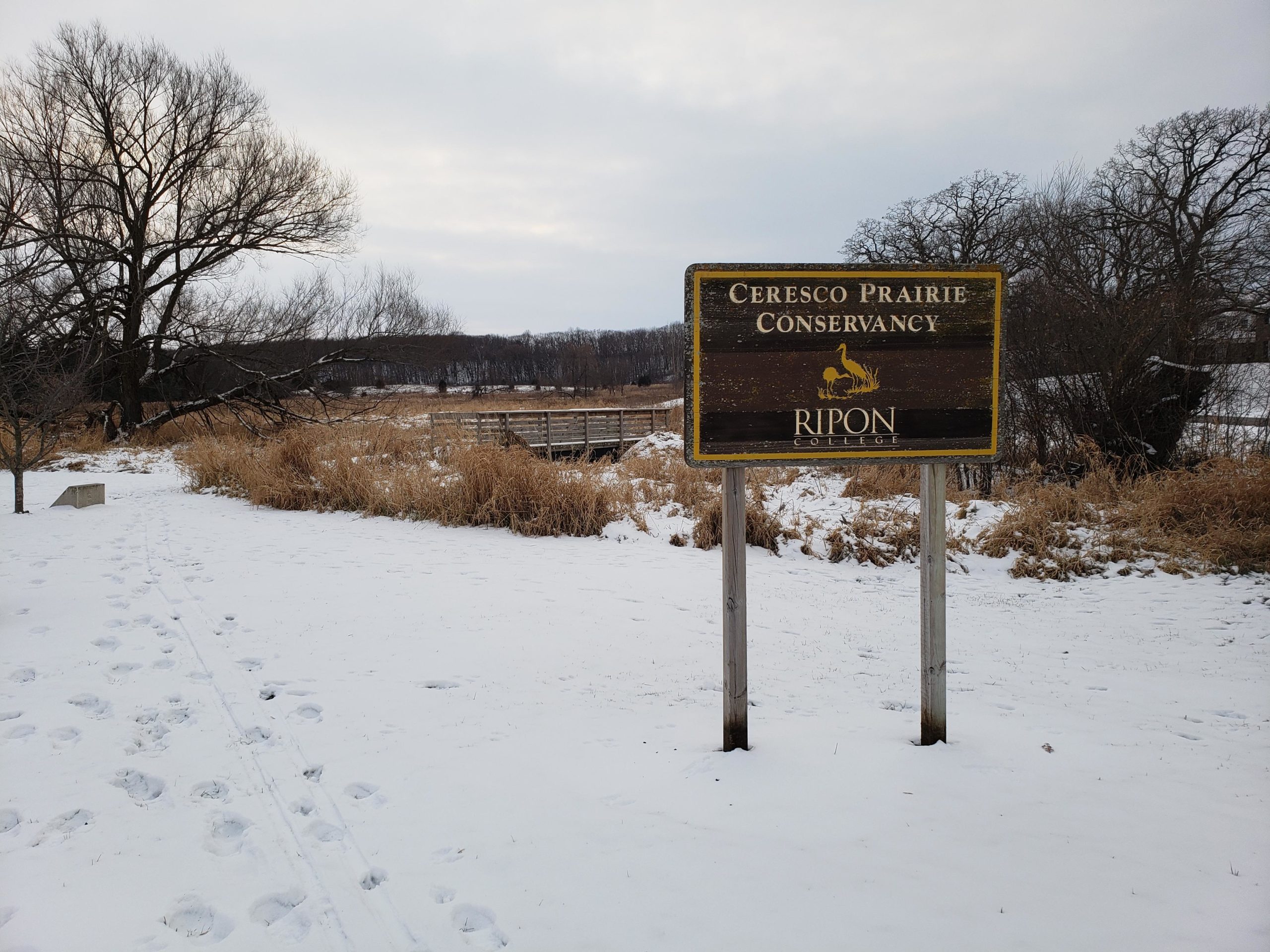 A snowy landscape at Ceresco Prairie Conservancy, featuring a wooden sign for the conservancy alongside a path marked with footprints. In the background, there are bare trees and tall grasses, creating a serene winter scene. Ceresco Prairie Singletrack mountain bike trail.