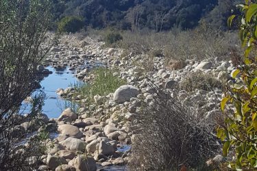 A serene natural landscape featuring a small stream surrounded by scattered rocks and vegetation. The scene includes a clear blue sky and a sloped area of hills in the background, highlighting a peaceful outdoor environment. Ventura river preserve mountain bike trail.