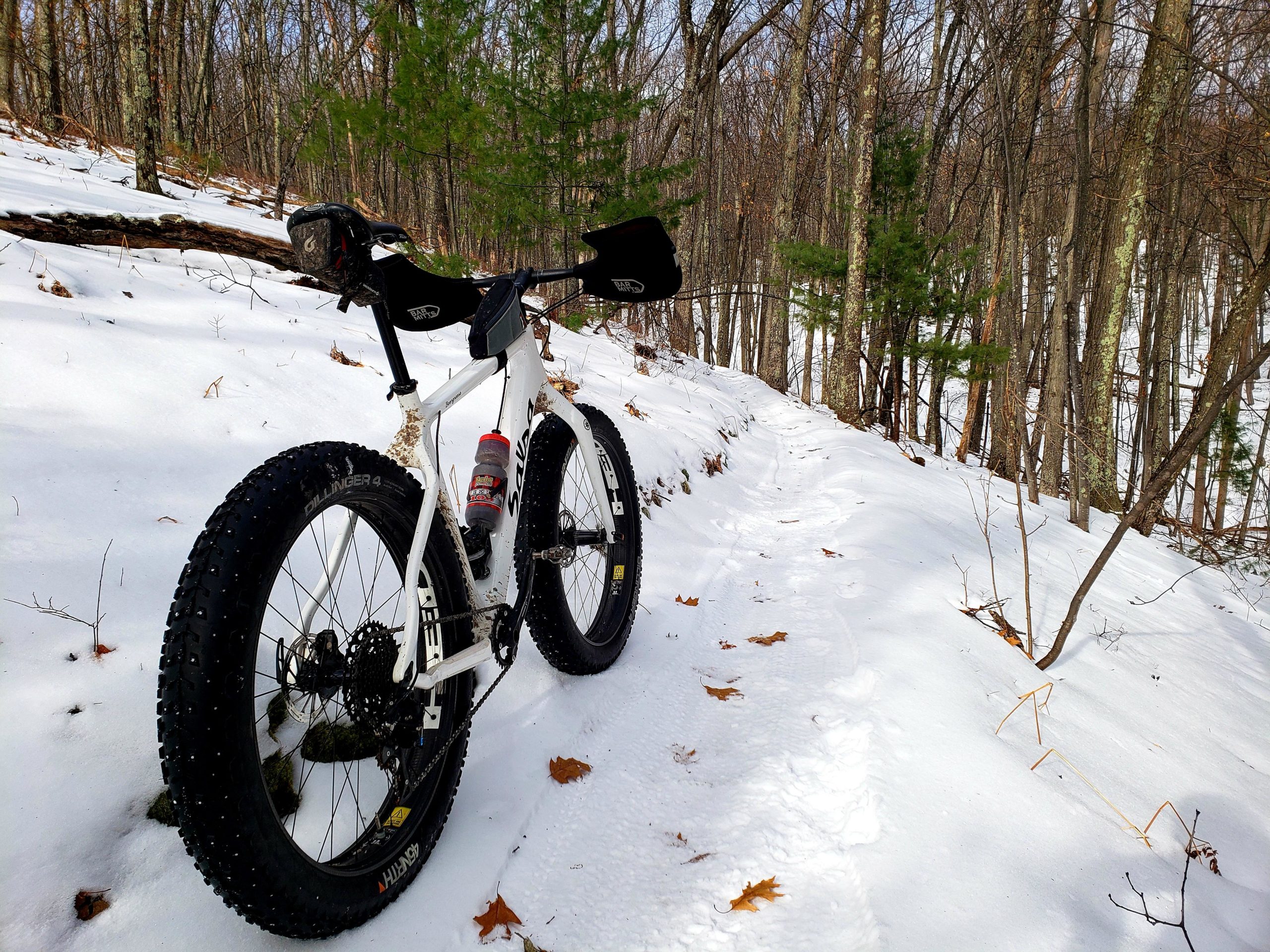 A white fat tire bike rests on a snow-covered trail surrounded by a wooded area. The bike features large, knobby tires designed for snow and off-road terrain, with a water bottle attached to its frame. Leafless trees and patches of snow dominate the landscape, indicating a winter setting. A clear blue sky is partially visible above the trees. Big M mountain bike trail.