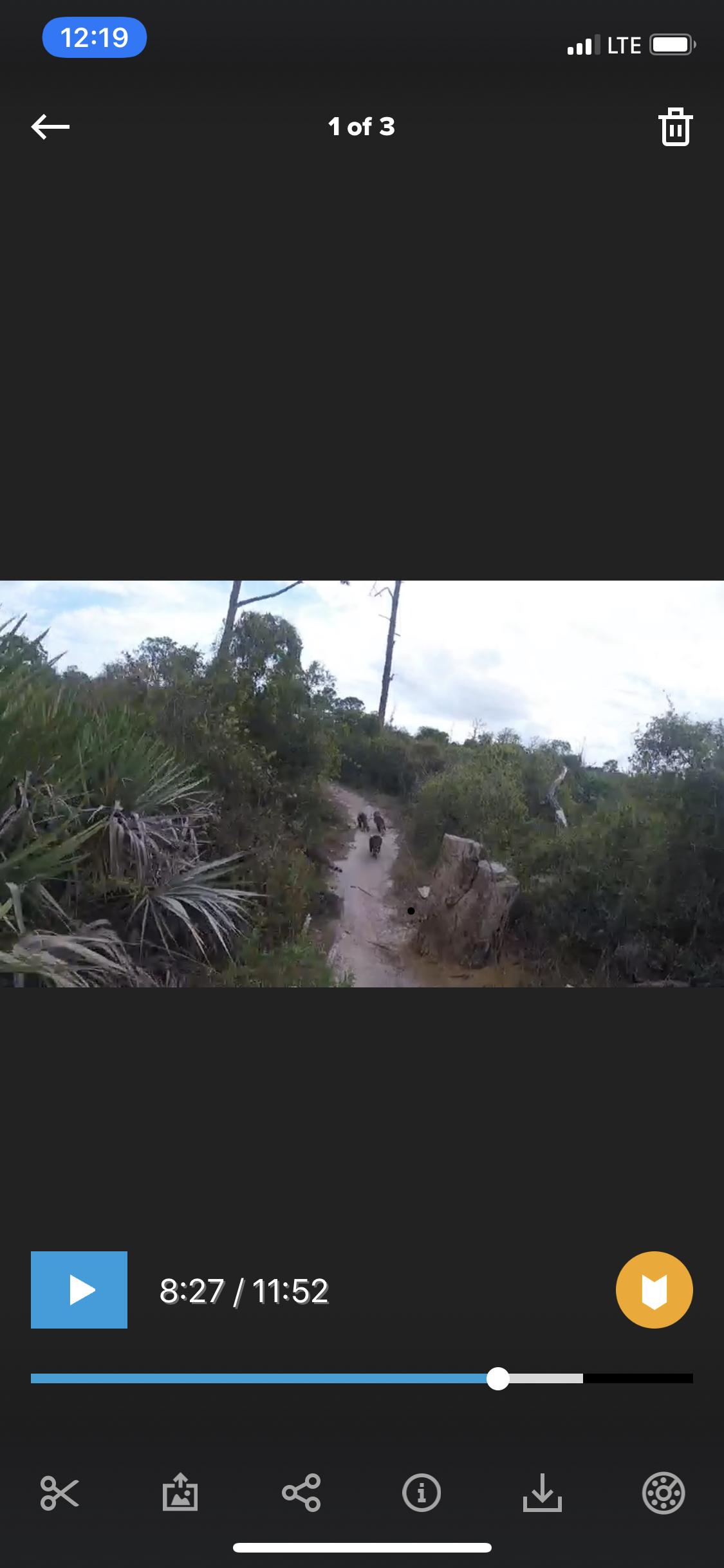A path winding through a lush green landscape, with tall trees and shrubs on either side. Three animals are seen walking along the trail, showcasing the natural environment. The image includes a video playback interface at the bottom, indicating the video is 8:27 into an 11:52 minute duration. Jonathan Dickinson State Park mountain bike trail.