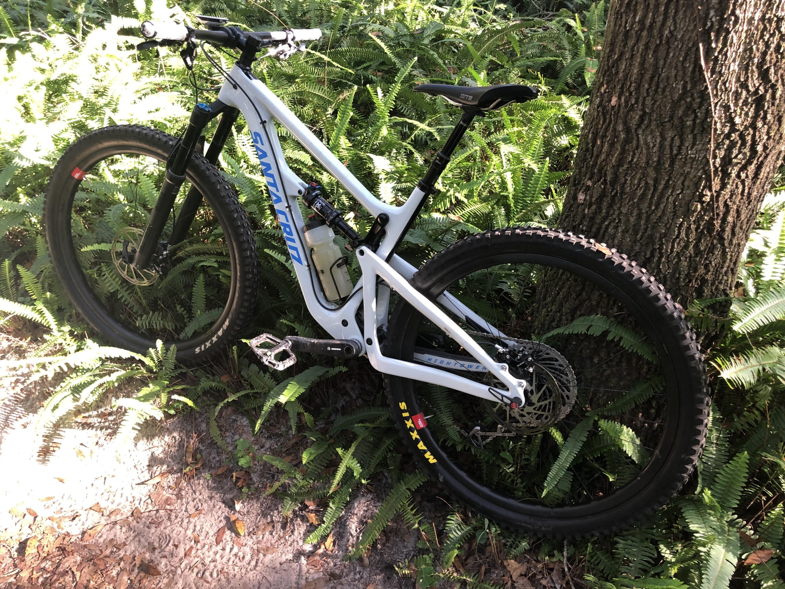 Santa Cruz Hightower 29er/27.5: A mountain bike with a white frame and black wheels is leaning against a tree, surrounded by green ferns. The bike features a suspension fork, disc brakes, and a water bottle attached to the frame. Sunlight filters through the foliage, illuminating the scene.