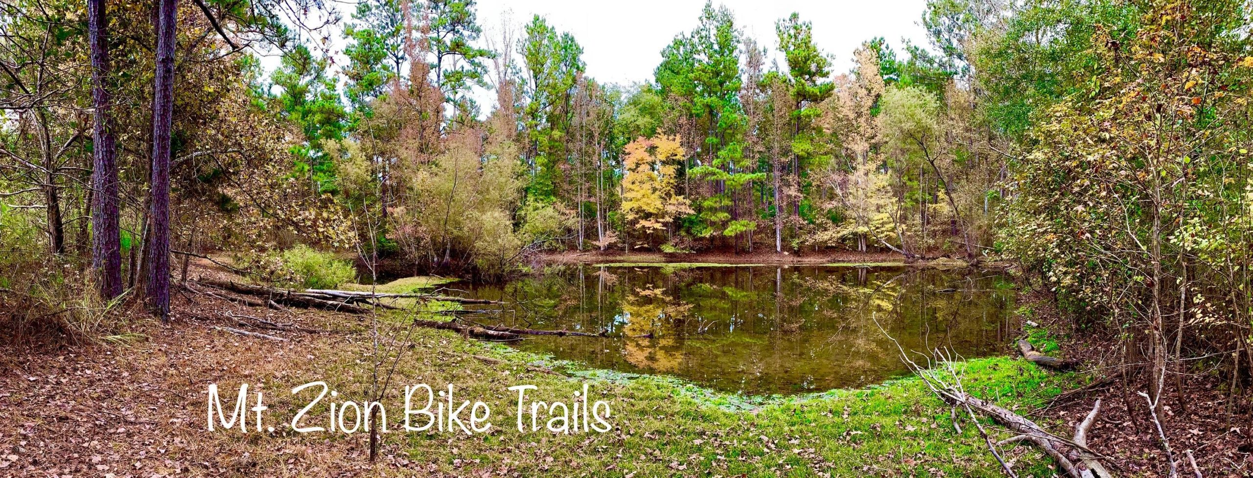 Landscape featuring a serene pond surrounded by lush greenery and trees in various shades of green and autumn colors. The image captures the natural beauty of Mt. Zion Bike Trails, highlighting the tranquility of the scene with reflections on the water's surface. Mt. Zion Bike Trails mountain bike trail.