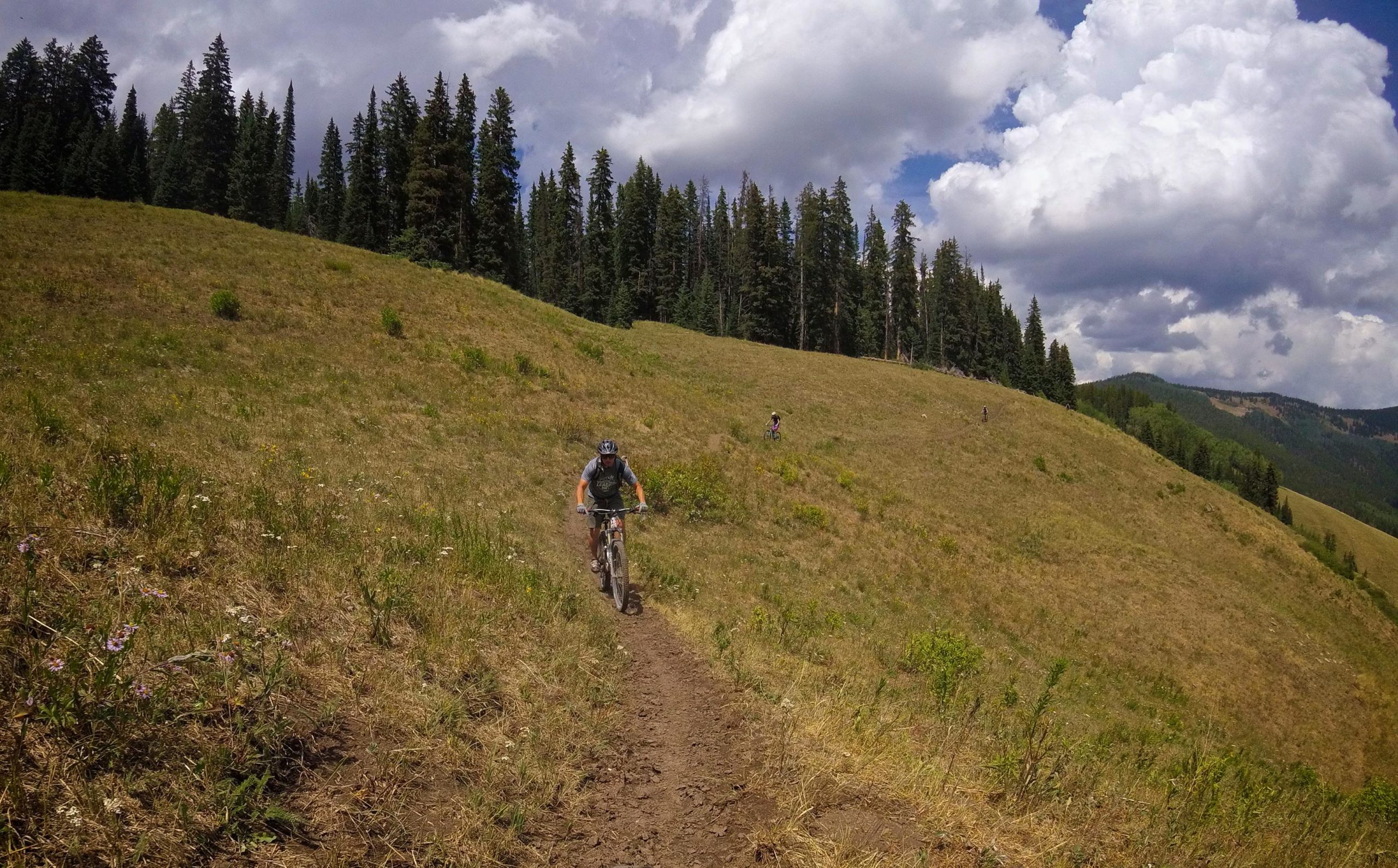 A mountain biker riding down a dirt trail through a grassy meadow surrounded by tall pine trees under a partly cloudy sky. Another cyclist can be seen in the background, enjoying the scenic outdoor landscape. Doctor Park mountain bike trail.