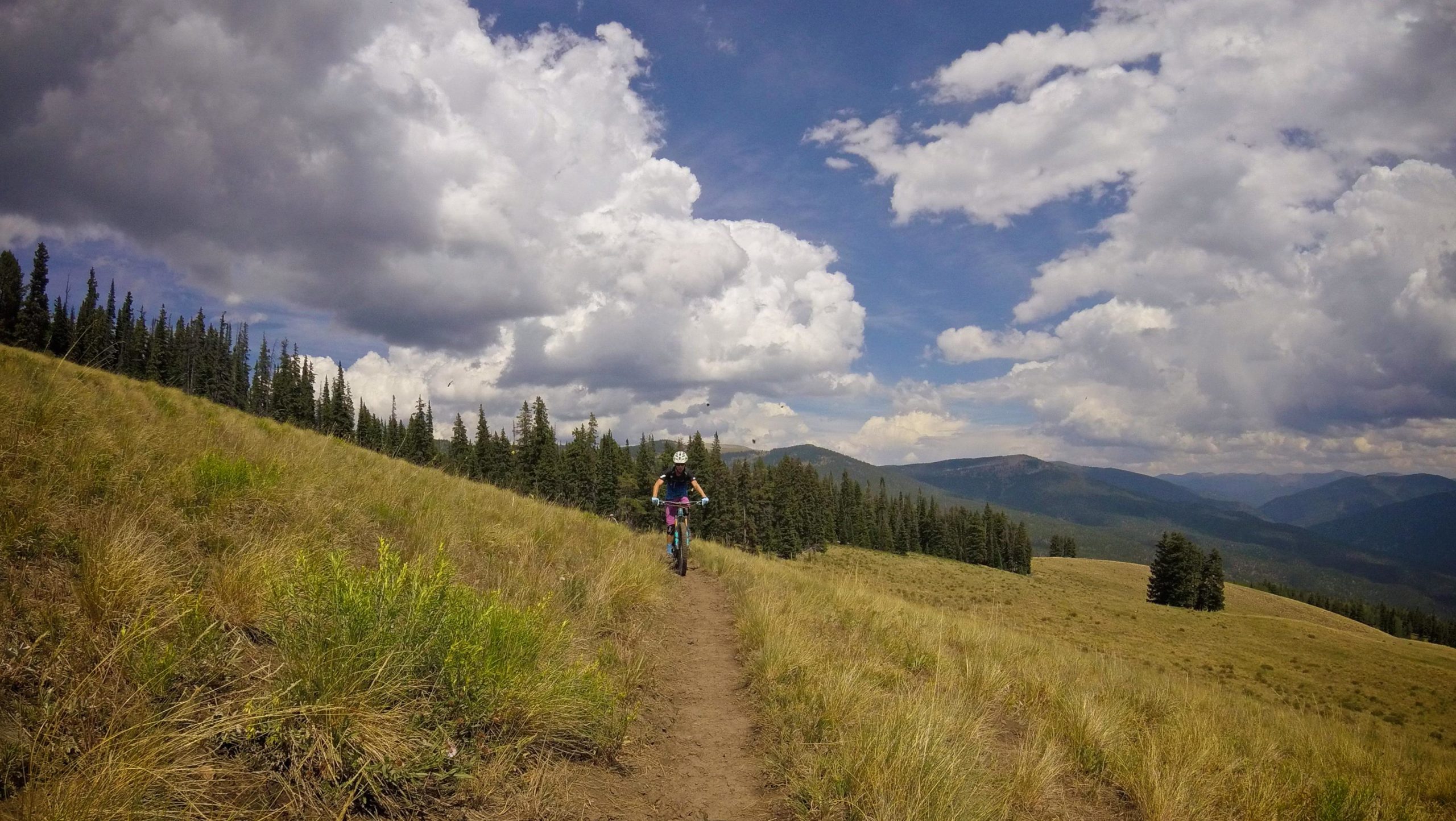 A person riding a mountain bike on a narrow trail through a grassy landscape, surrounded by tall trees and mountains under a partly cloudy sky. Doctor Park mountain bike trail.