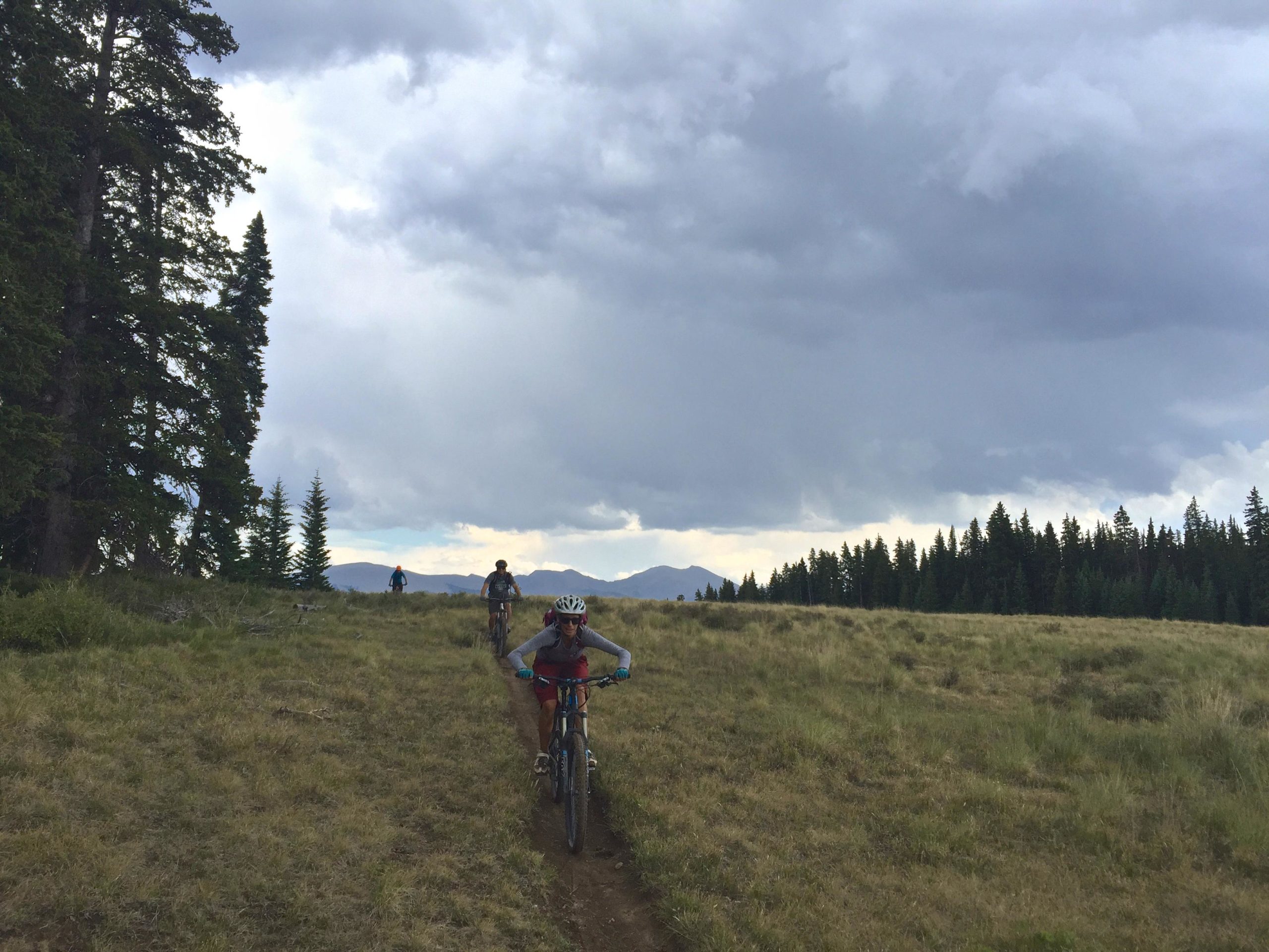 Two mountain bikers riding along a dirt trail in a grassy landscape, surrounded by tall pine trees and a distant mountainous backdrop under an overcast sky. Doctor Park mountain bike trail.