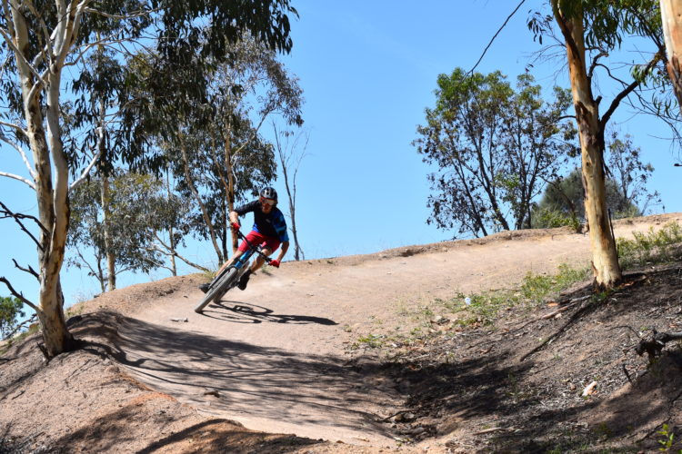 A mountain biker navigating a dirt trail, leaning into a turn surrounded by eucalyptus trees under a clear blue sky.