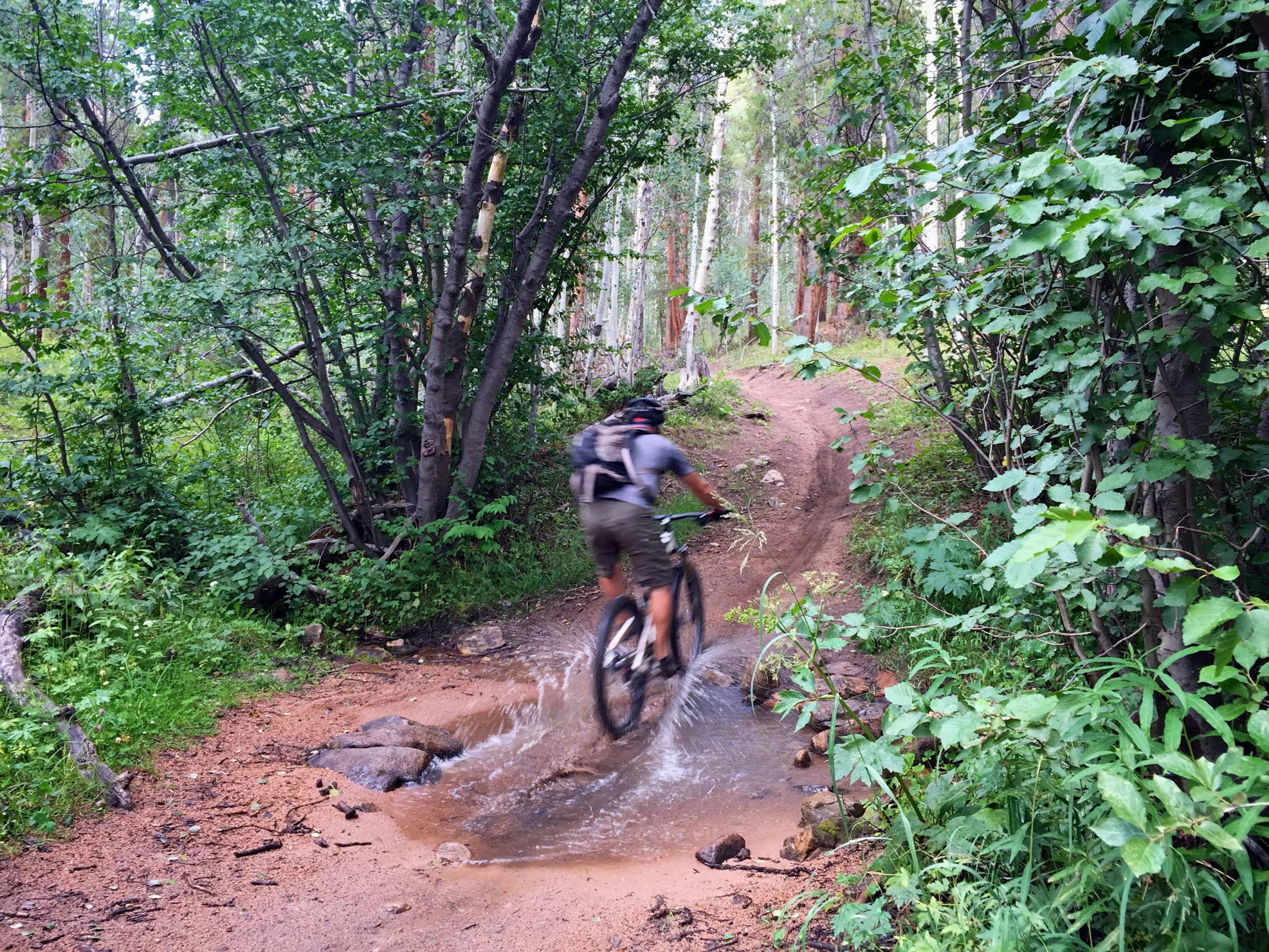 A mountain biker rides through a muddy patch on a trail surrounded by dense green foliage and trees. The rider is splashing through water as they navigate the path, which curves upward into the forest. Doctor Park mountain bike trail.