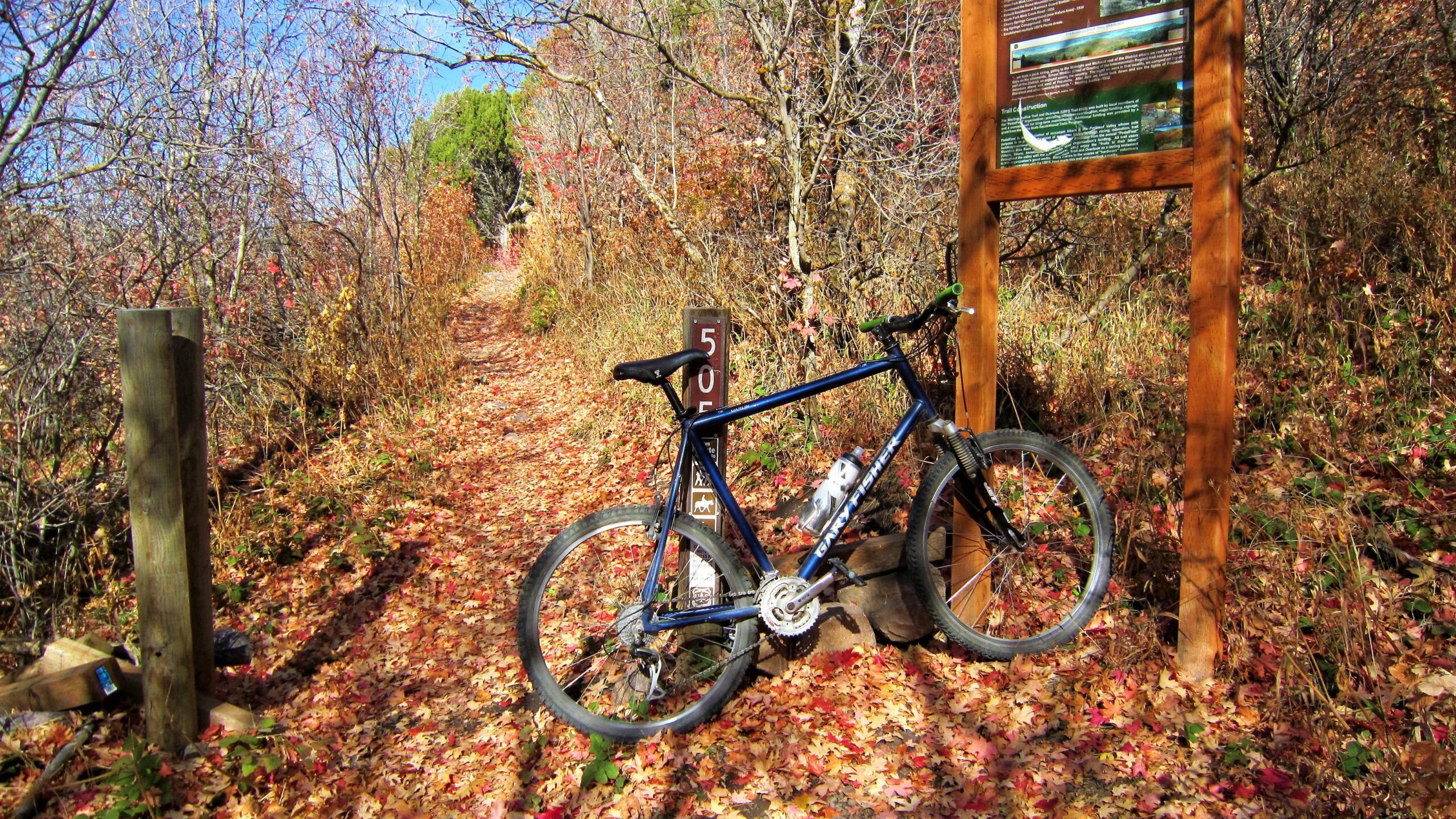 Gary Fisher Marlin: A blue mountain bike leans against a wooden trail sign surrounded by a path covered in colorful autumn leaves, with trees and shrubs lining the trail in the background.