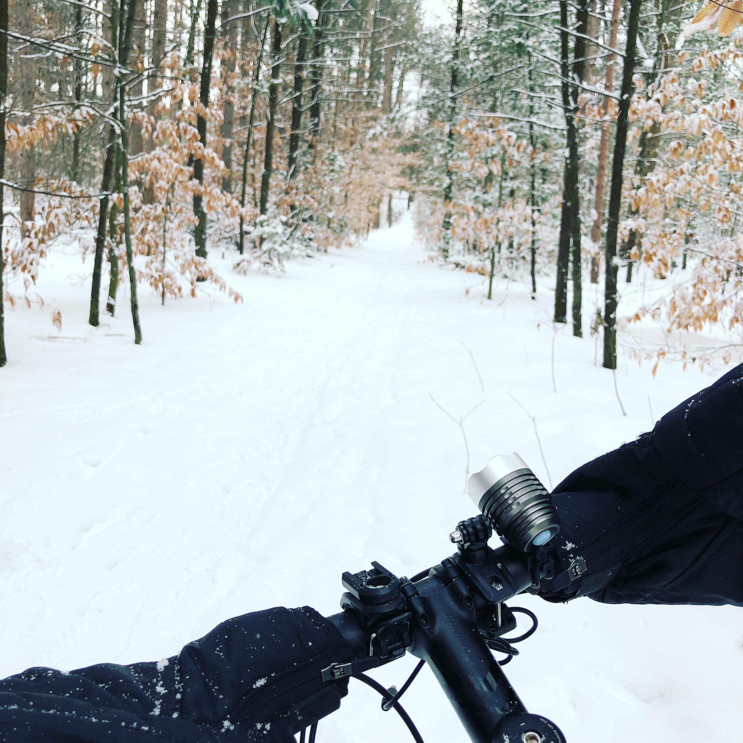 A person’s hands are visible on the handlebars of a bicycle, with a snowy forest path extending into the distance. The surrounding trees are dusted with snow, and some have orange leaves. The scene conveys a serene winter atmosphere.