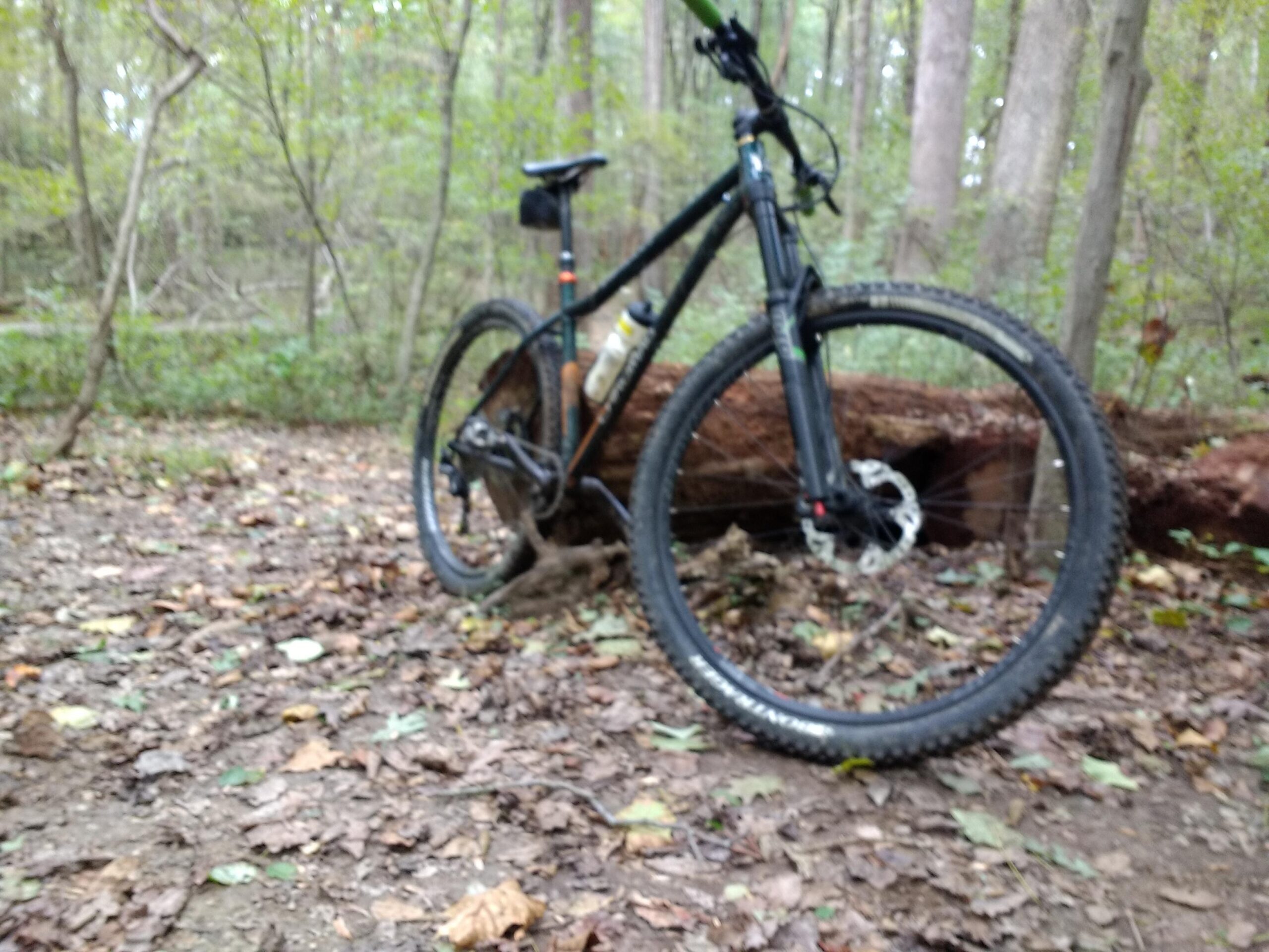 Chromag Rootdown: Mountain bike resting on a forest trail, surrounded by fallen leaves and trees, with a log partially visible in the background.