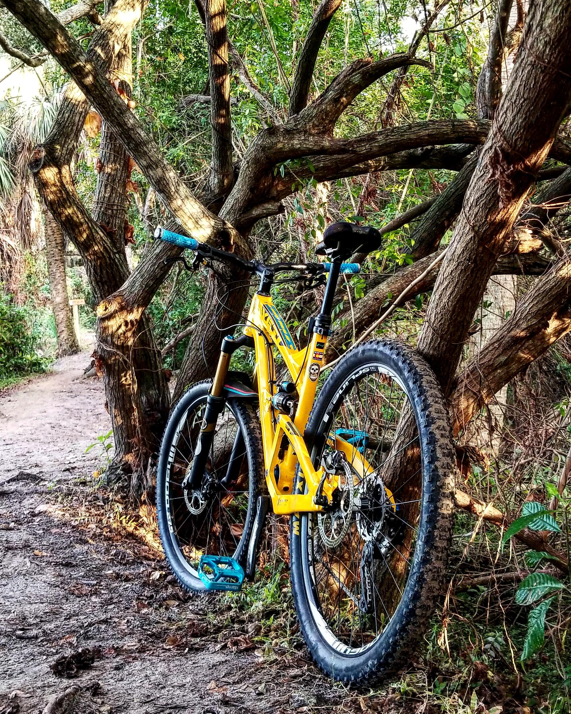 Yeti SB-75: A vibrant yellow mountain bike rests against a cluster of gnarled trees along a dirt trail. The scene is surrounded by lush greenery, with a winding path visible in the background, indicating a natural and adventurous biking environment.