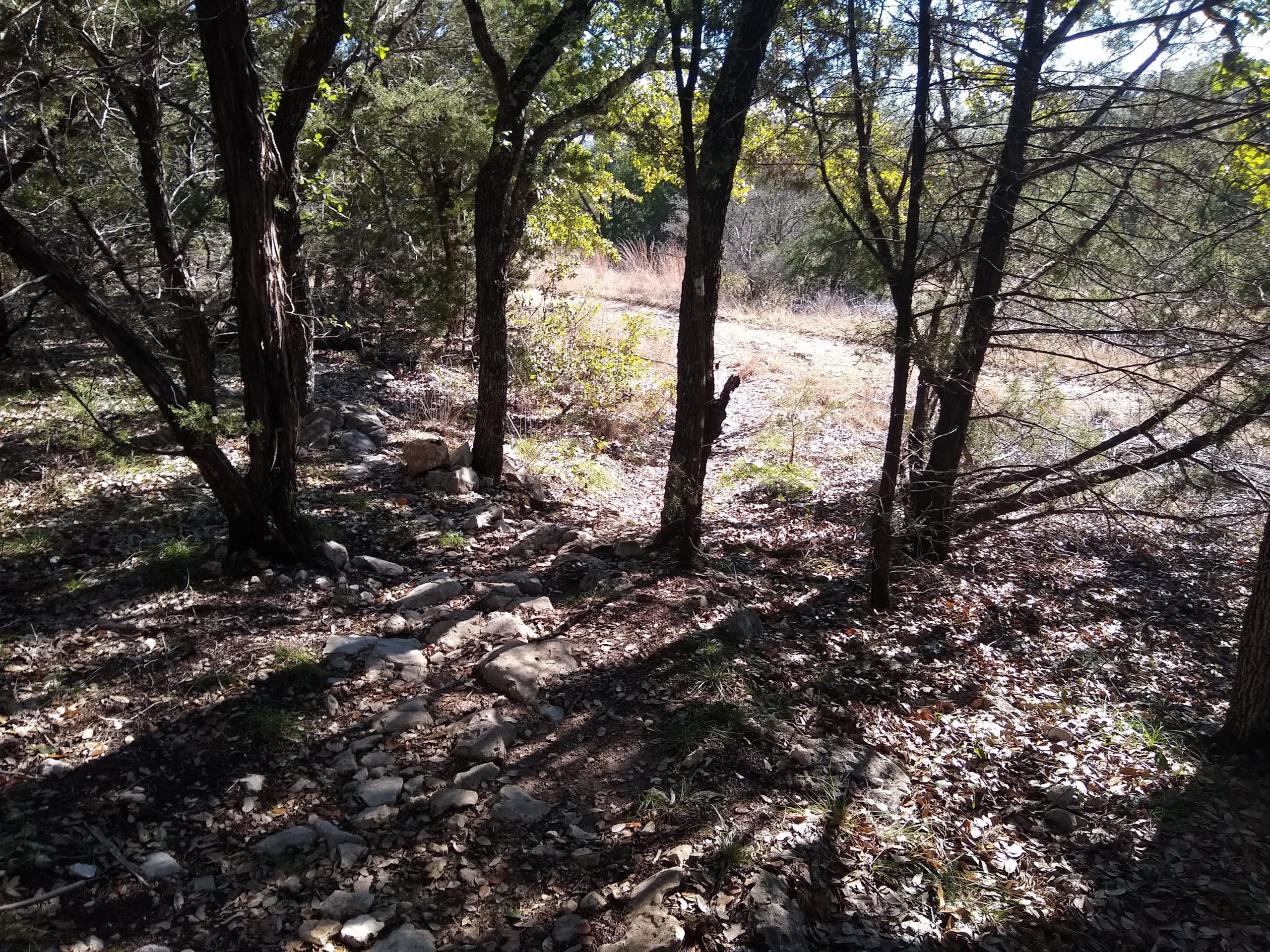 A sunlit trail winding through a wooded area, flanked by trees with green foliage. The ground is covered with rocks and fallen leaves, creating a natural path that leads toward an open grassy area in the background. Pace Bend Park mountain bike trail.