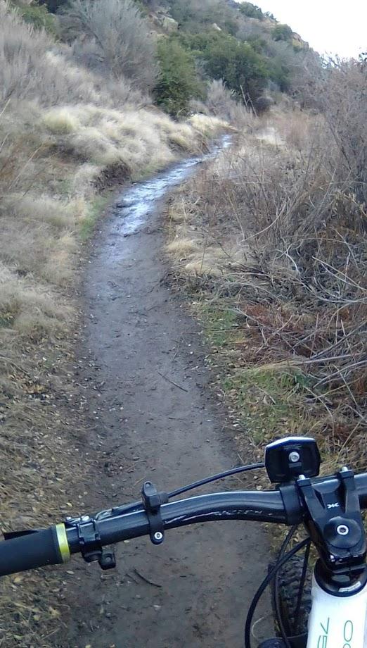 A close-up view of a mountain bike handlebar, showing a winding dirt path ahead surrounded by tall grass and shrubs. The path appears muddy, indicating recent rain, and leads into a natural landscape. Pack Memorial MTB Trail mountain bike trail.