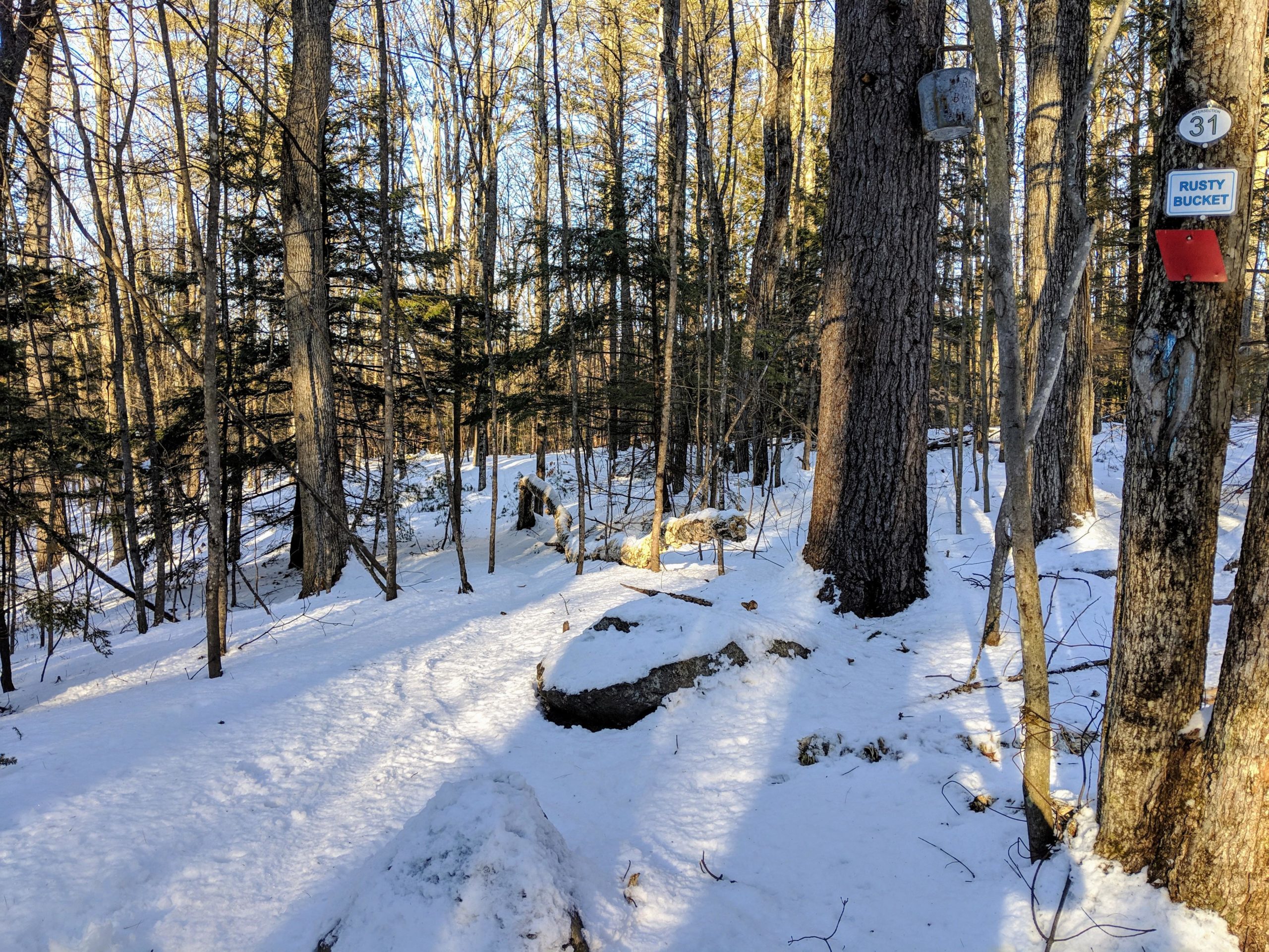 A snow-covered forest trail winding through tall trees, with sunlight filtering through the branches. A sign marked "31" is affixed to a tree, and a bucket is hanging above. Boulders and patches of snow can be seen along the path. Franklin Falls mountain bike trail.
