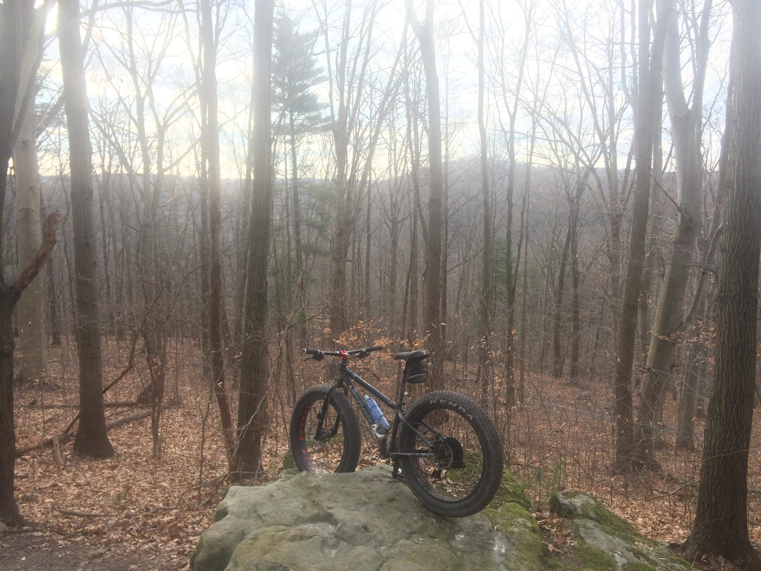 A mountain bike parked on a large rock in a forest clearing, surrounded by bare trees and fallen leaves, with a misty landscape in the background. Mohican mountain bike trail.