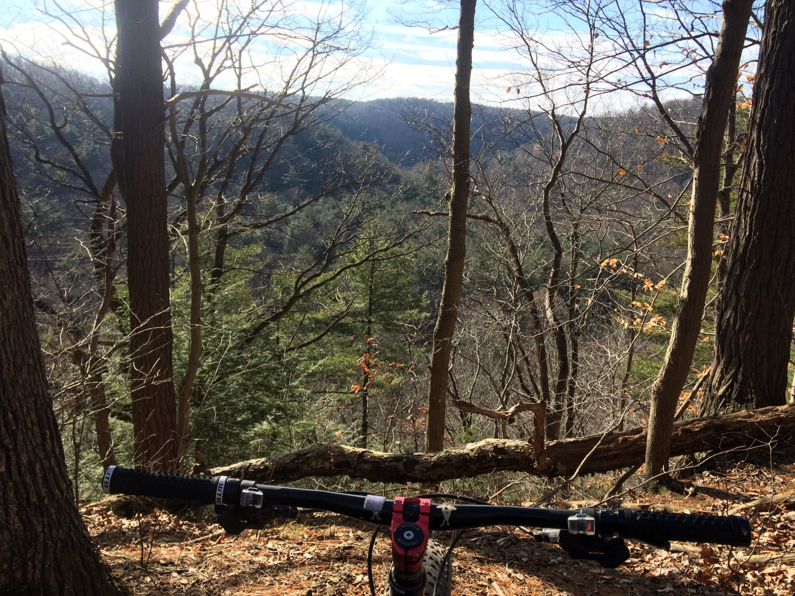 A mountain bike is positioned on a trail overlooking a scenic forest landscape, with tall trees and rolling hills in the background under a clear sky. The handlebars and grips of the bike are in focus, while the lush greenery and bare branches of the trees can be seen beyond. Mohican mountain bike trail.