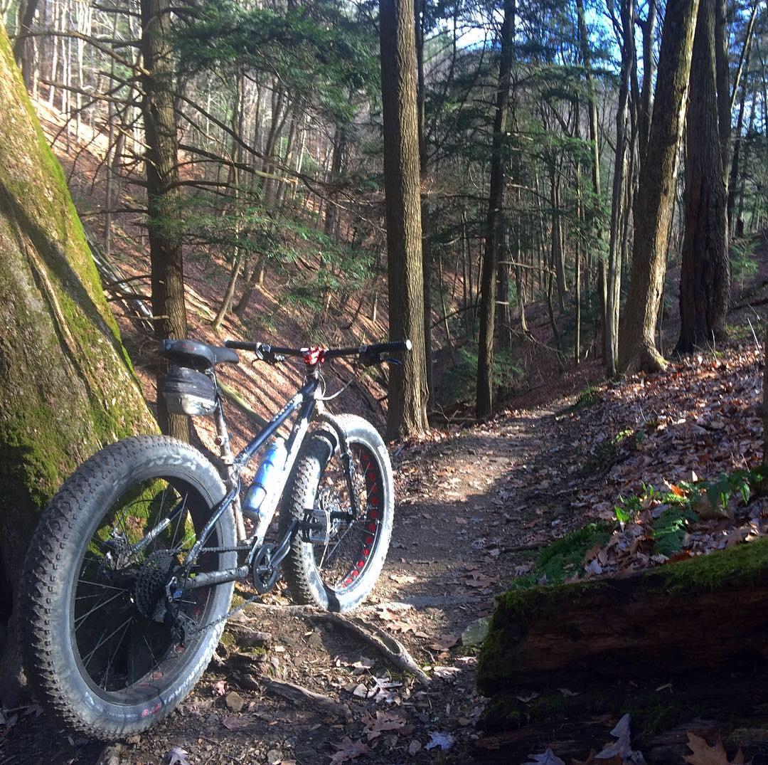A fat tire bicycle parked on a forest trail, surrounded by tall trees and dappled sunlight filtering through the branches. The trail is lined with fallen leaves and underbrush, indicating a natural outdoor setting. Mohican mountain bike trail.
