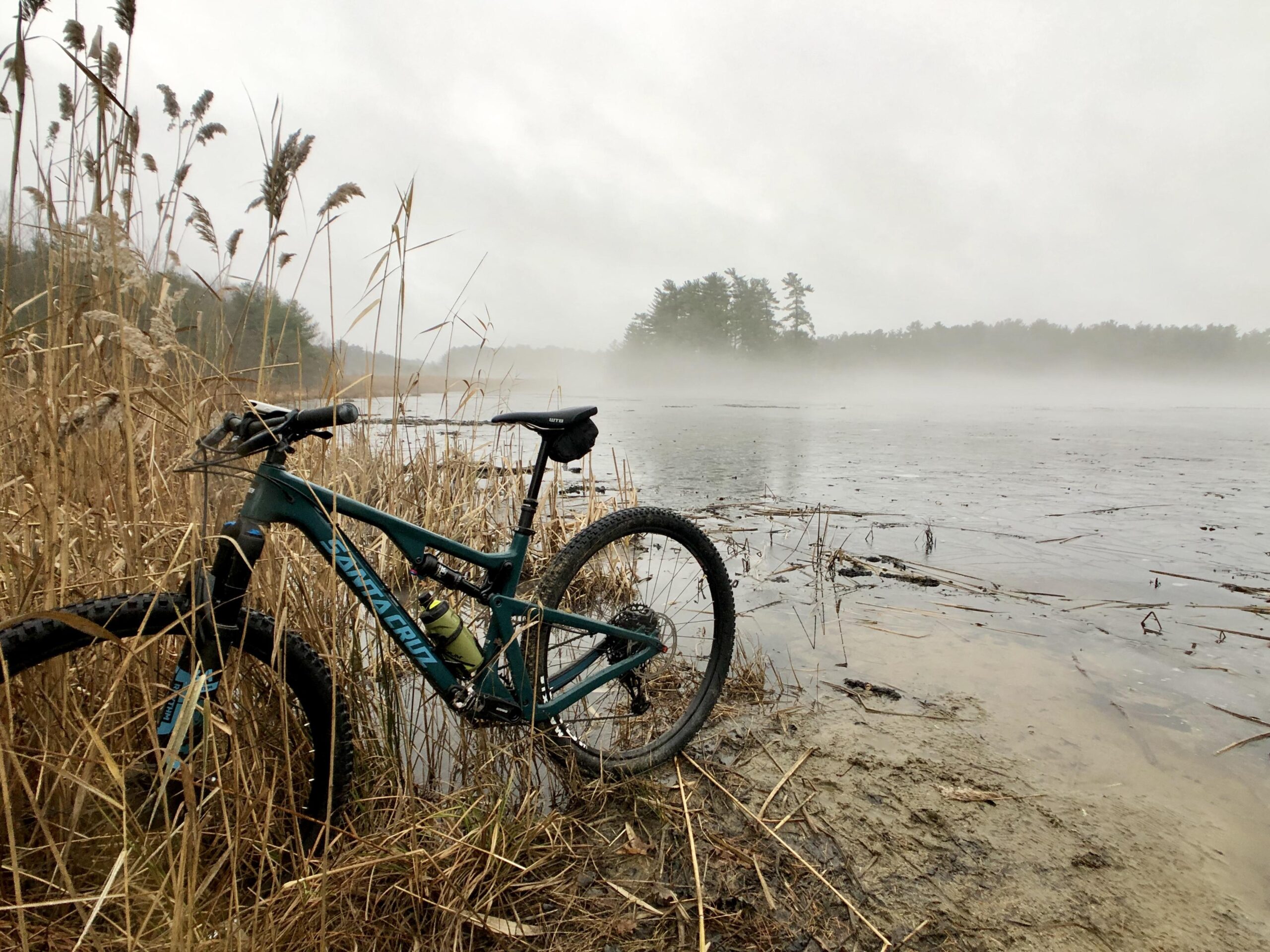 Santa Cruz Tallboy Carbon: A mountain bike resting on the bank of a foggy lake, surrounded by tall grasses and reeds. The water is still, with mist rising above its surface, and a forest of trees is visible in the background under overcast skies.