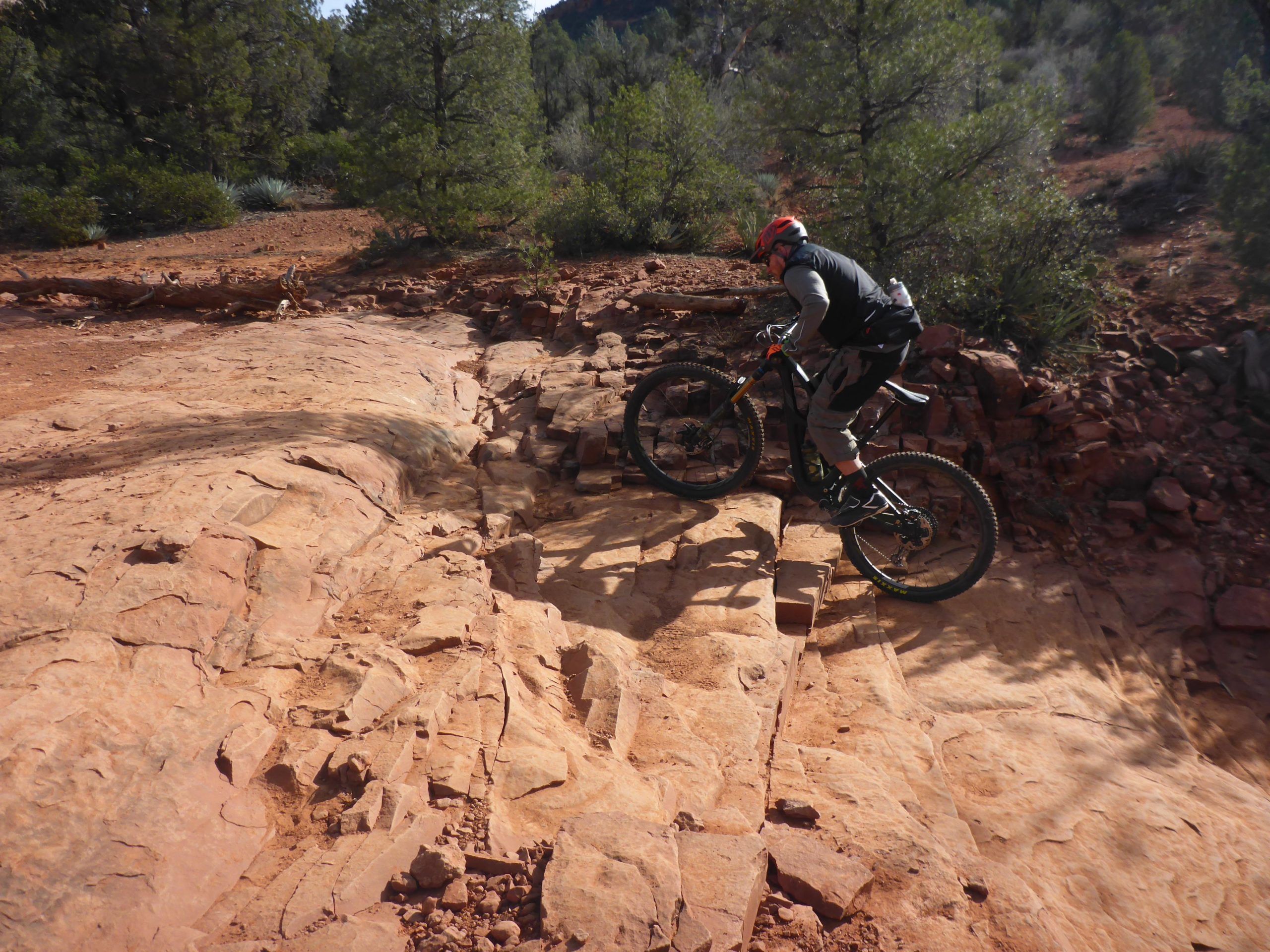 A mountain biker navigates a rocky trail, skillfully climbing over uneven terrain surrounded by pine trees and red rock formations. Chuck Wagon mountain bike trail.