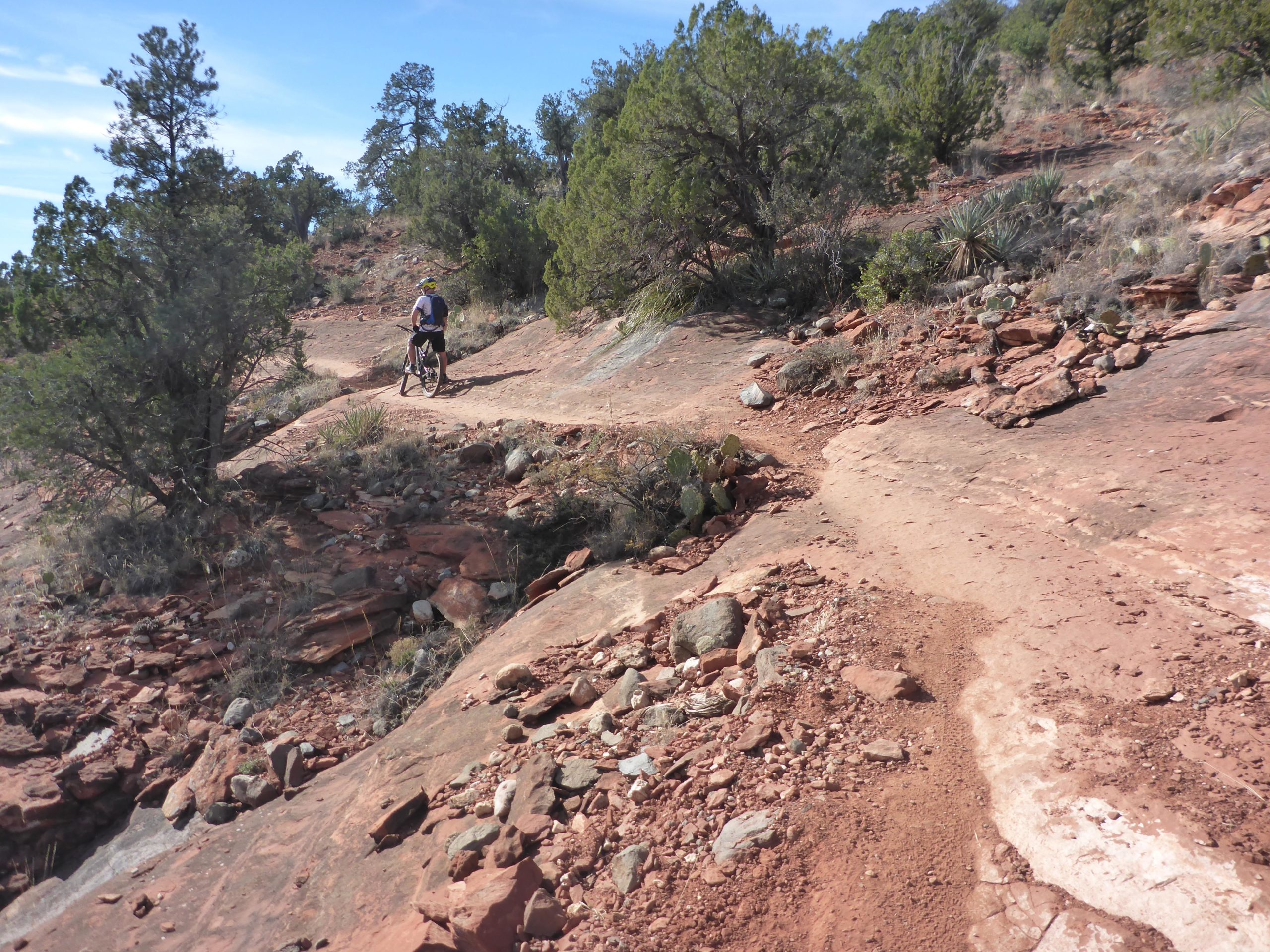 A mountain biker navigating a rocky trail surrounded by trees and shrubs in a natural outdoor setting, with a clear blue sky above. Chuck Wagon mountain bike trail.