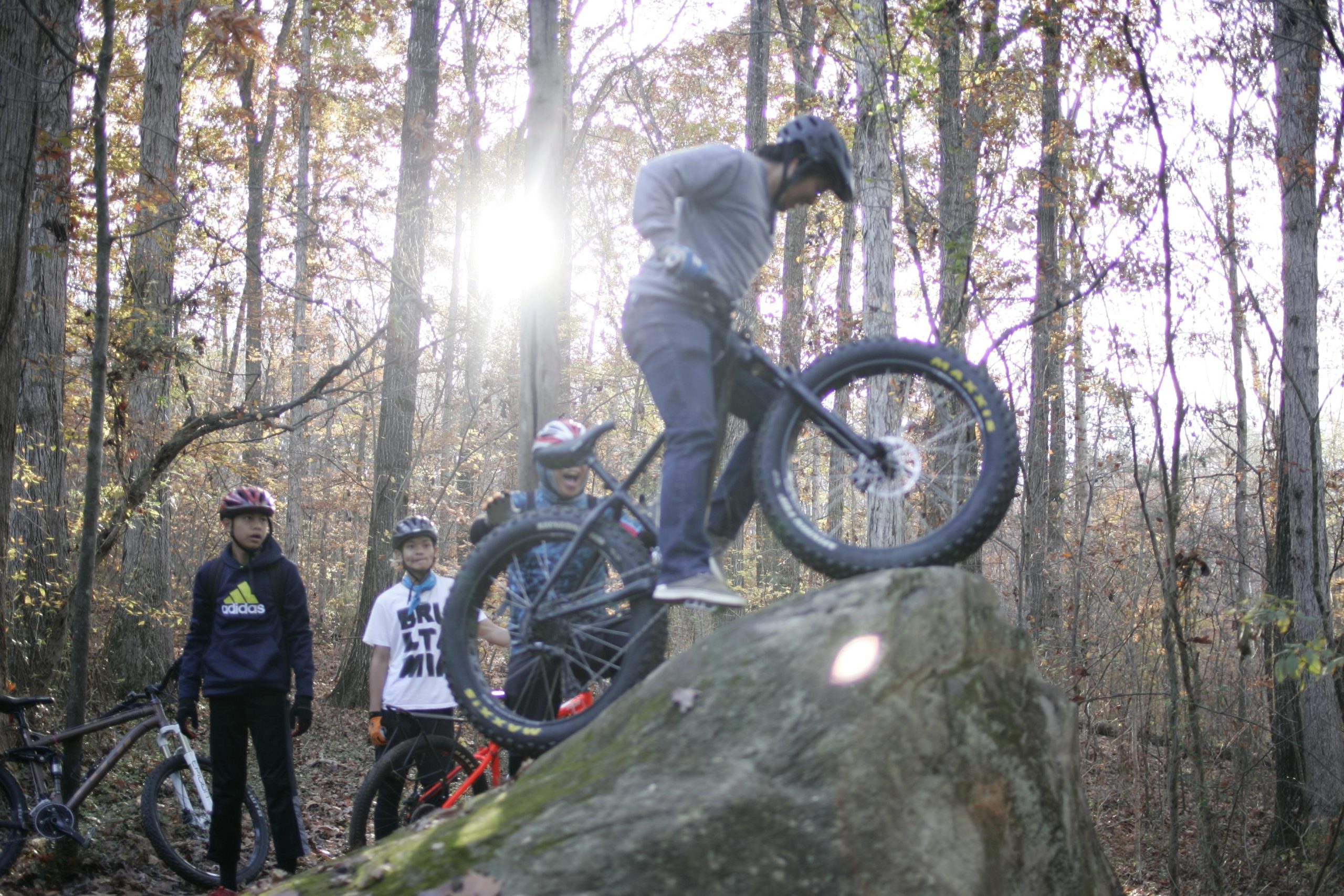 A mountain biker performs a trick on a large rock in a forested area, while three other riders watch from the side. The scene is illuminated by sunlight filtering through the trees, highlighting the autumn colors of the leaves. Hobby Park mountain bike trail.