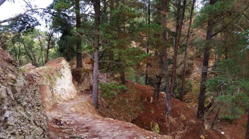 A dirt path winding through a forest with tall pine trees on either side, surrounded by rocky terrain and autumn foliage. The scene captures a peaceful outdoor environment, inviting exploration and adventure. Black hill lookout downhill mountain bike trail.