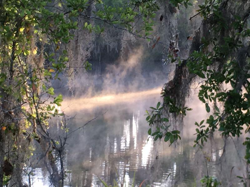 A tranquil scene of a misty waterway surrounded by lush greenery and hanging moss. Soft morning light creates a reflective beam on the water's surface, with gentle tendrils of fog rising from the calm water, enhancing the serene atmosphere of the landscape. Loyce E. Harpe Park mountain bike trail.