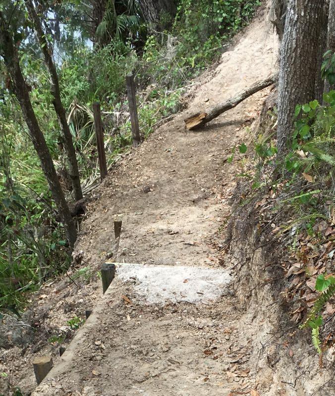 A dirt path winding through greenery, with wooden posts on one side and a slight slope leading downwards. A fallen branch lies across the trail, and scattered leaves cover the ground. Loyce E. Harpe Park mountain bike trail.