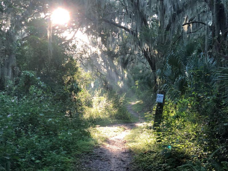A sunlit path winding through a lush, green forest, with Spanish moss hanging from the trees and soft rays of light filtering through the foliage. A sign marked "EXIT" stands along the trail, indicating a way out of the wooded area. Loyce E. Harpe Park mountain bike trail.