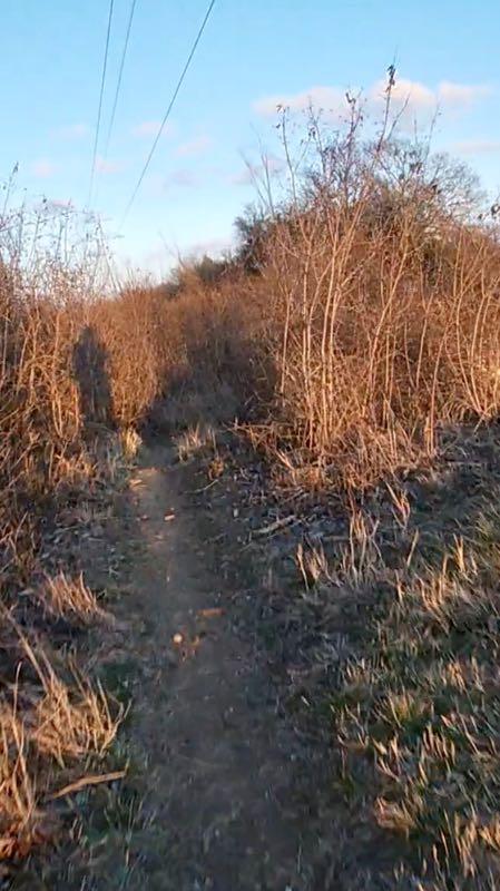 A narrow dirt path surrounded by tall, sparse vegetation and grasses, leading into the distance under a clear blue sky with sunlight casting long shadows. Power lines are visible in the background. Chisenhall trails mountain bike trail.