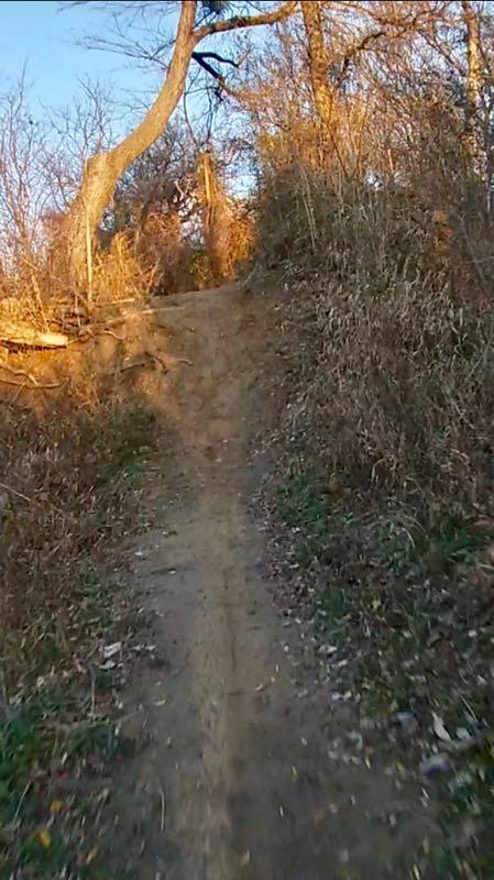 A narrow dirt path winding uphill through sparse vegetation and trees, illuminated by warm sunlight, showcasing a natural trail in a wooded area. Chisenhall trails mountain bike trail.