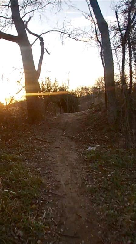 A dirt path winding through a wooded area, with tall trees on either side and the glow of a setting sun in the background. The scene is peaceful, with sparse foliage and some visible debris along the trail. Chisenhall trails mountain bike trail.