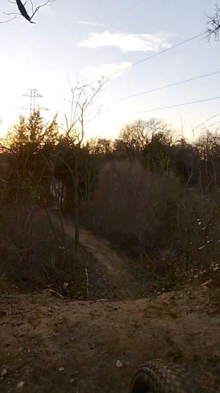 A scenic view of a dirt path winding through a wooded area during sunset, with trees in silhouette and a soft glow in the sky. The foreground shows a sandy area with tire tracks, suggesting an off-road or biking context. Chisenhall trails mountain bike trail.