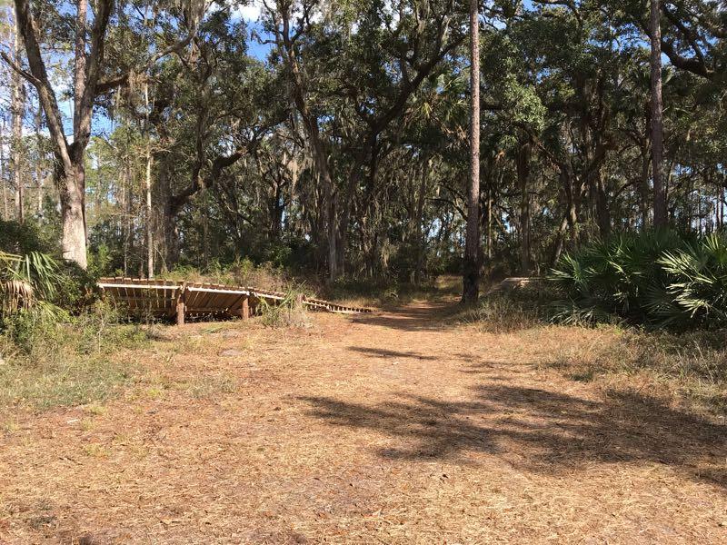 A dirt path lined by trees and vegetation, leading through a wooded area with sunlight filtering through the leaves. In the foreground, there is a wooden boardwalk section and patches of dry leaves scattered on the ground. The scene conveys a tranquil and natural atmosphere. Nocatee mountain bike trail.