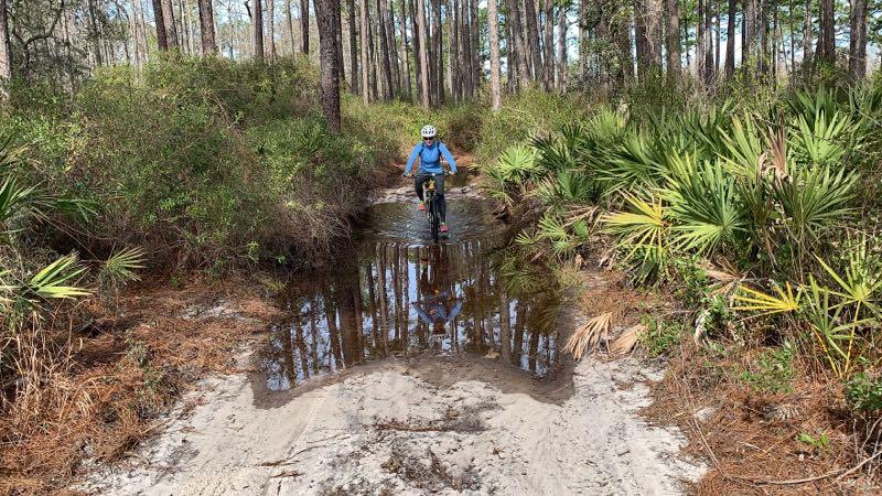 A person riding a mountain bike through a muddy trail with a puddle, surrounded by tall trees and green vegetation in a wooded area. Longleaf Pine Greenway Trail mountain bike trail.