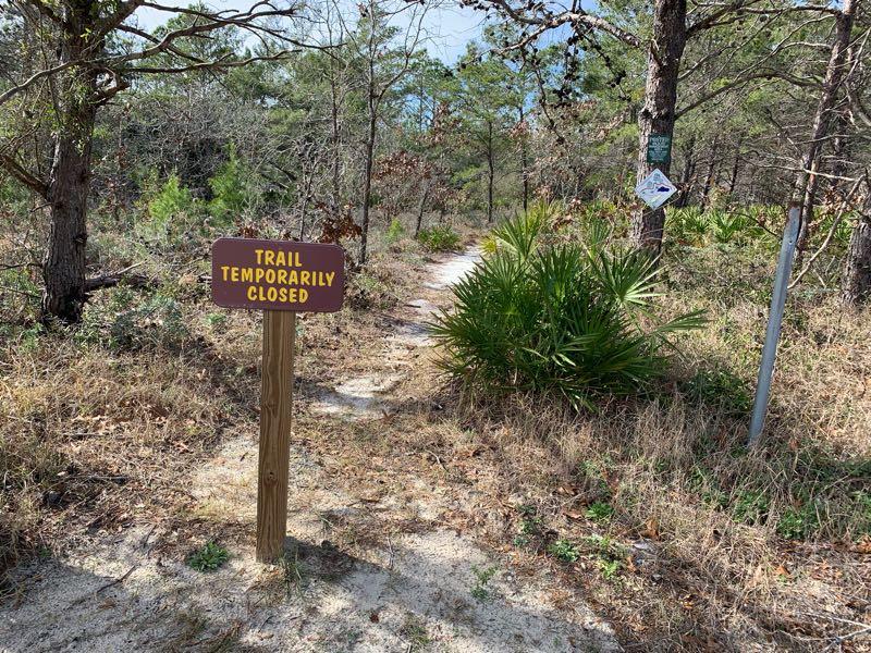 A dirt trail in a wooded area is partially visible, with a wooden sign in the foreground reading "TRAIL TEMPORARILY CLOSED." Surrounding the trail are various trees and shrubs, indicating a natural environment. Longleaf Pine Greenway Trail mountain bike trail.