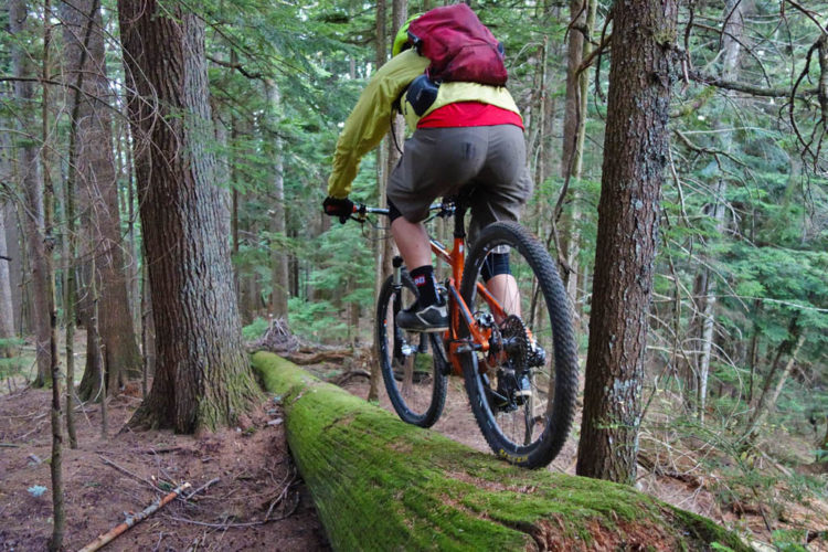 A mountain biker navigating over a moss-covered log in a dense forest, surrounded by tall trees and greenery. The rider is wearing a yellow jacket and brown shorts, with a red backpack.