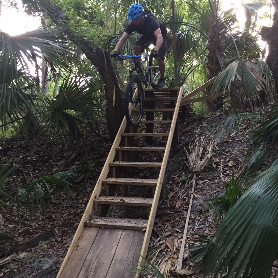 A mountain biker wearing a blue helmet is descending a wooden ramp with stairs, surrounded by lush greenery and palm trees in a forested area. The biker appears focused, navigating the transition between the ramp and the ground below. Chuck Lennon Park mountain bike trail.