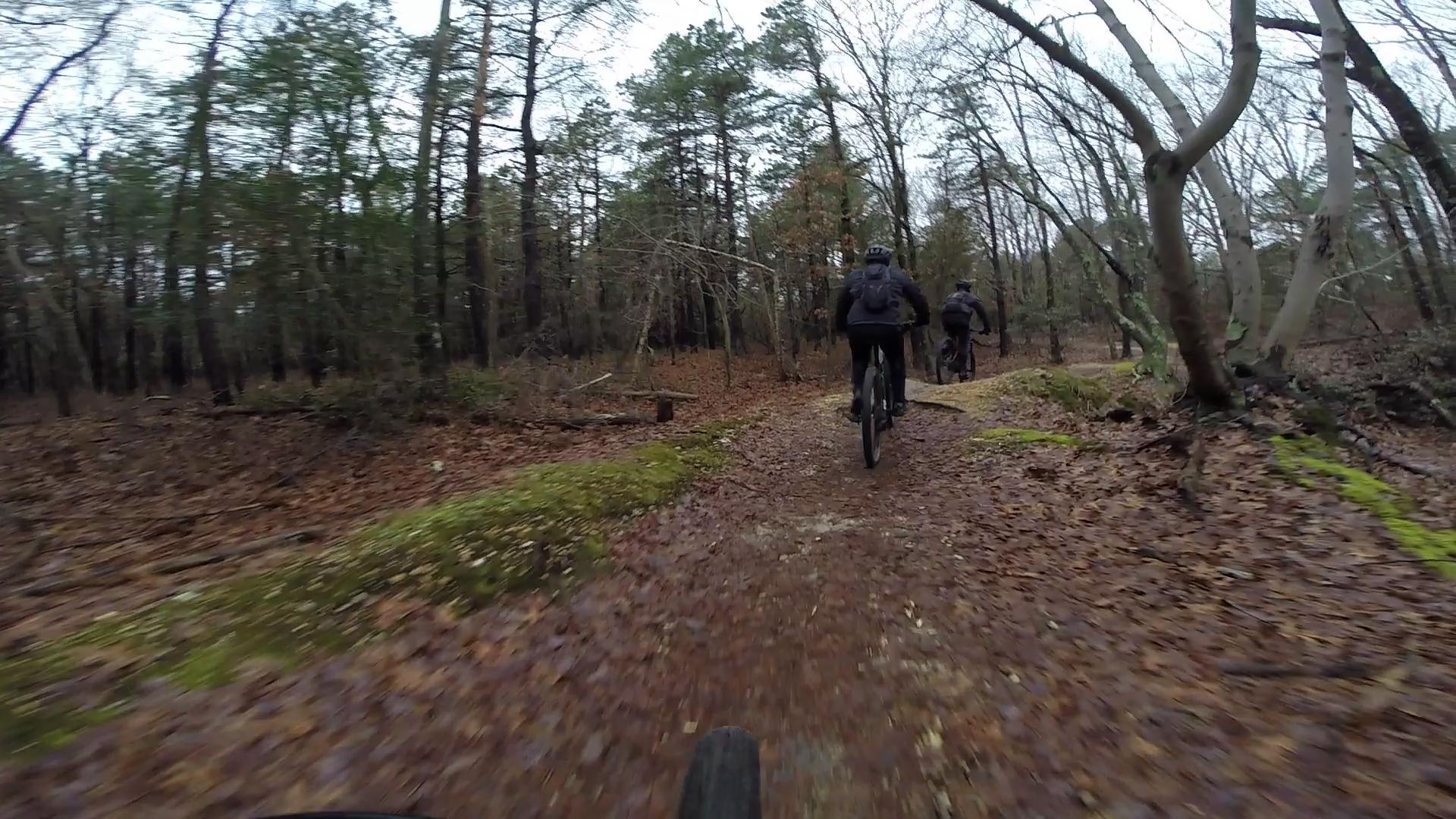 Two mountain bikers riding through a forested trail covered with fallen leaves and moss on either side, surrounded by trees. The scene is overcast, indicating a cool, damp day. Allaire State Park mountain bike trail.