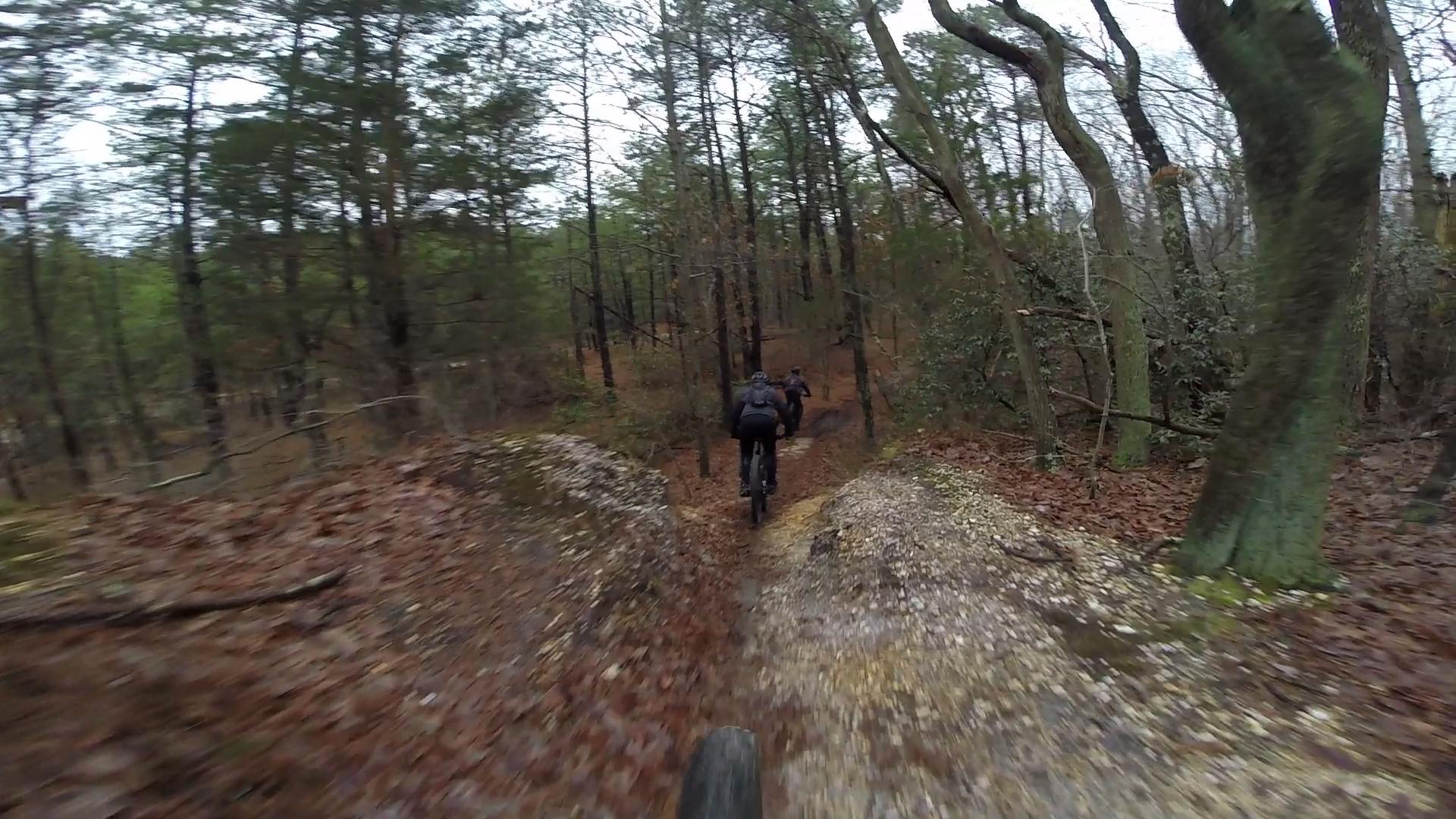 A mountain biker riding on a narrow trail surrounded by dense trees and fallen leaves, with a second biker visible in the background. The scene captures the excitement of off-road biking in a wooded area. Allaire State Park mountain bike trail.