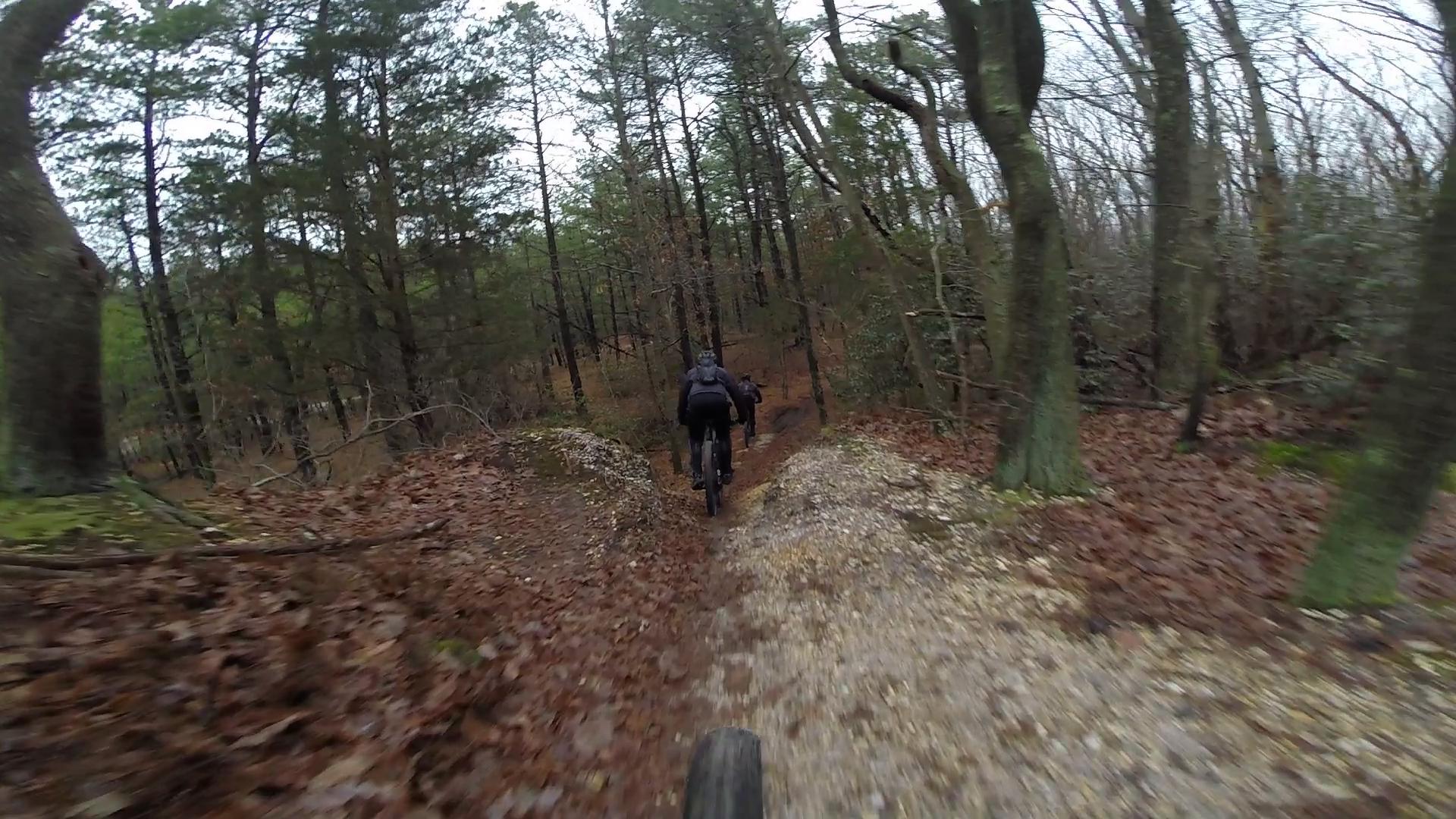 A mountain biker riding down a narrow, gravel trail surrounded by tall trees and fallen leaves in a forested area. The scene captures a sense of adventure and exploration. Allaire State Park mountain bike trail.
